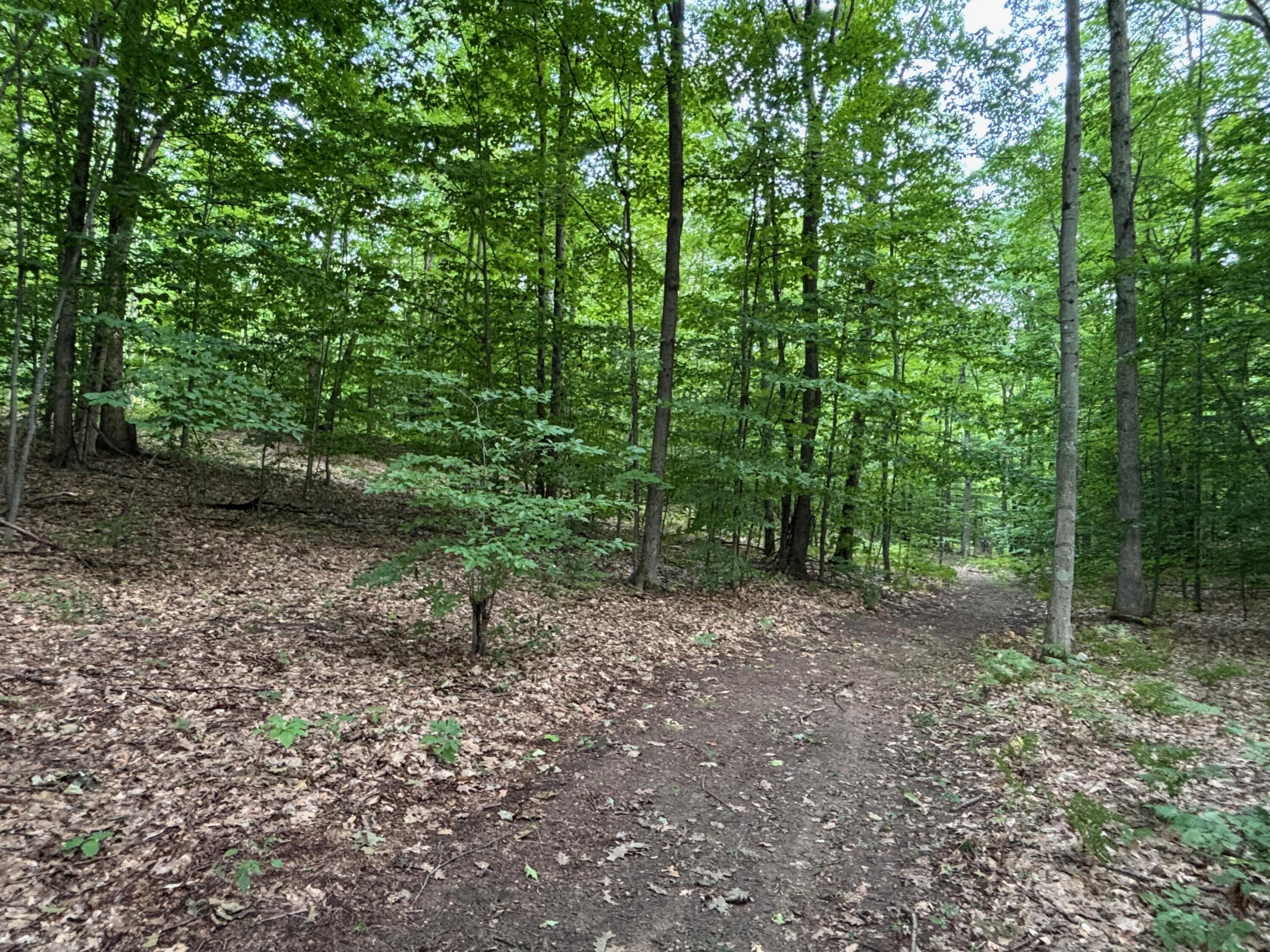 2905 E Jackson Road Property Photo 58