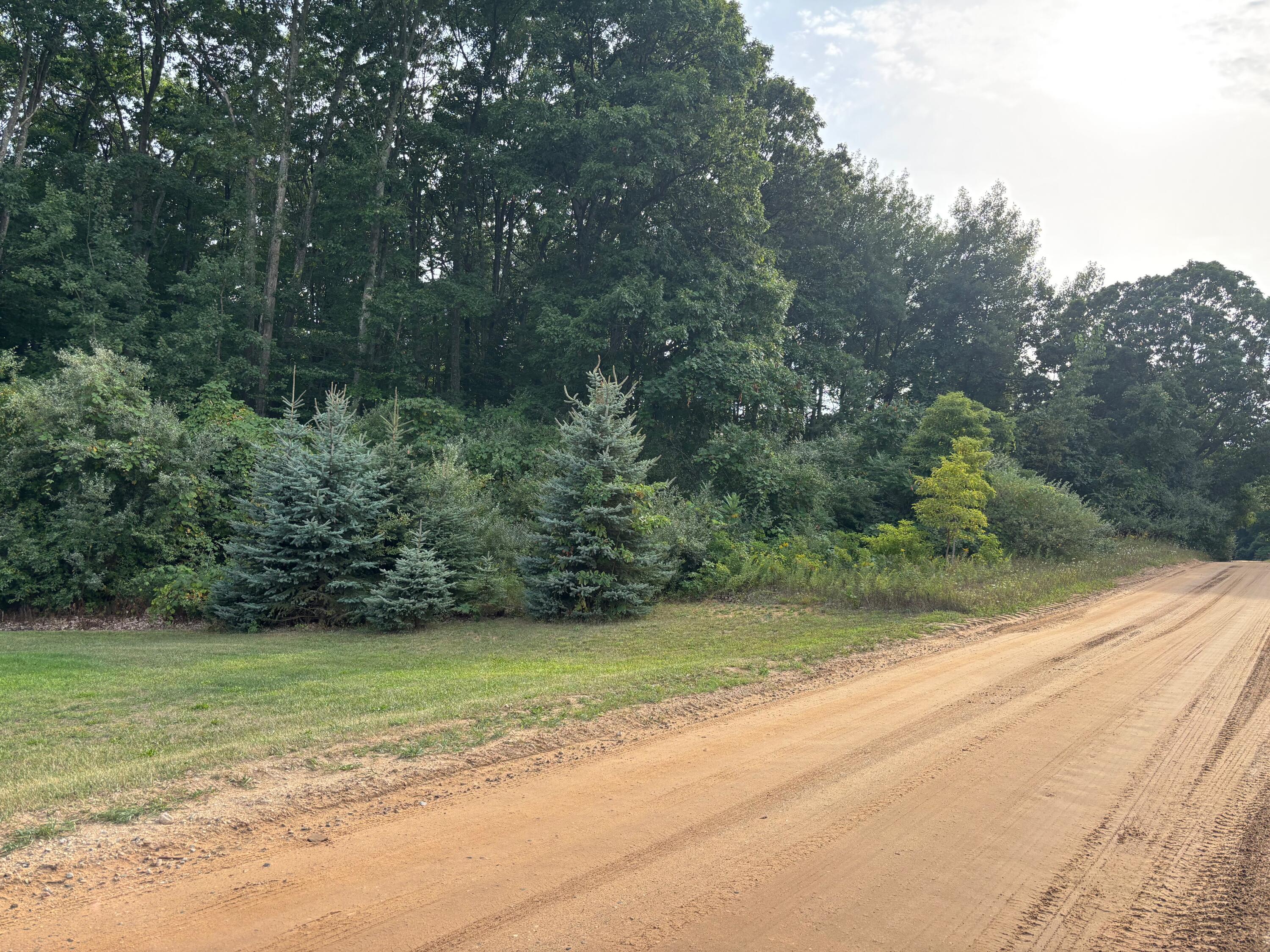 2905 E Jackson Road Property Photo 59