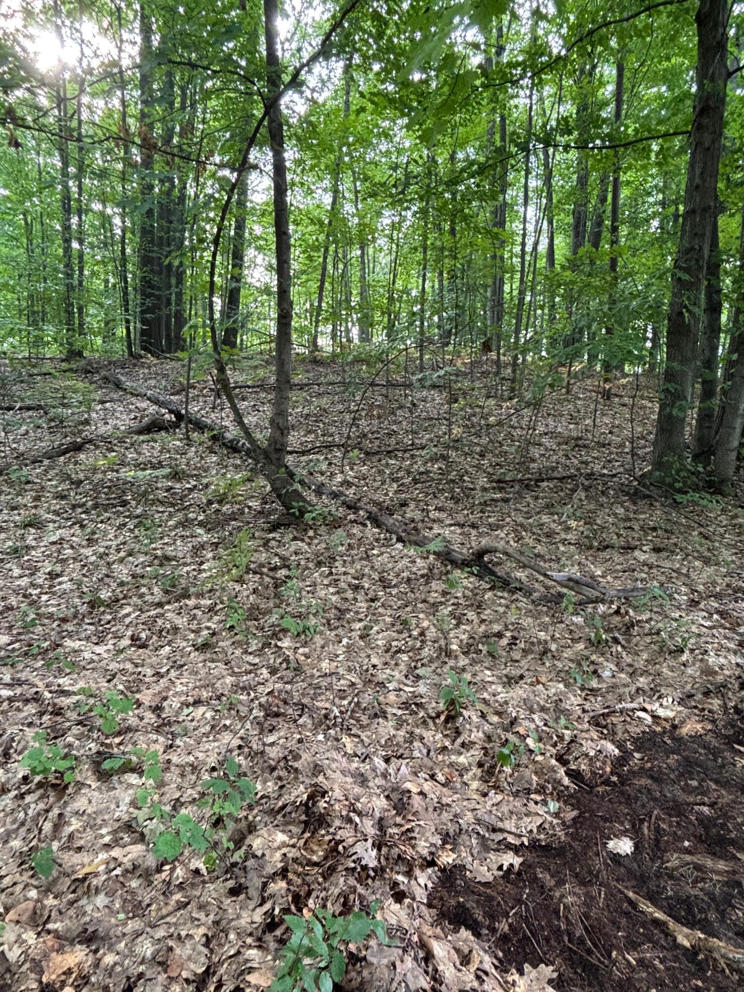 2905 E Jackson Road Property Photo 61