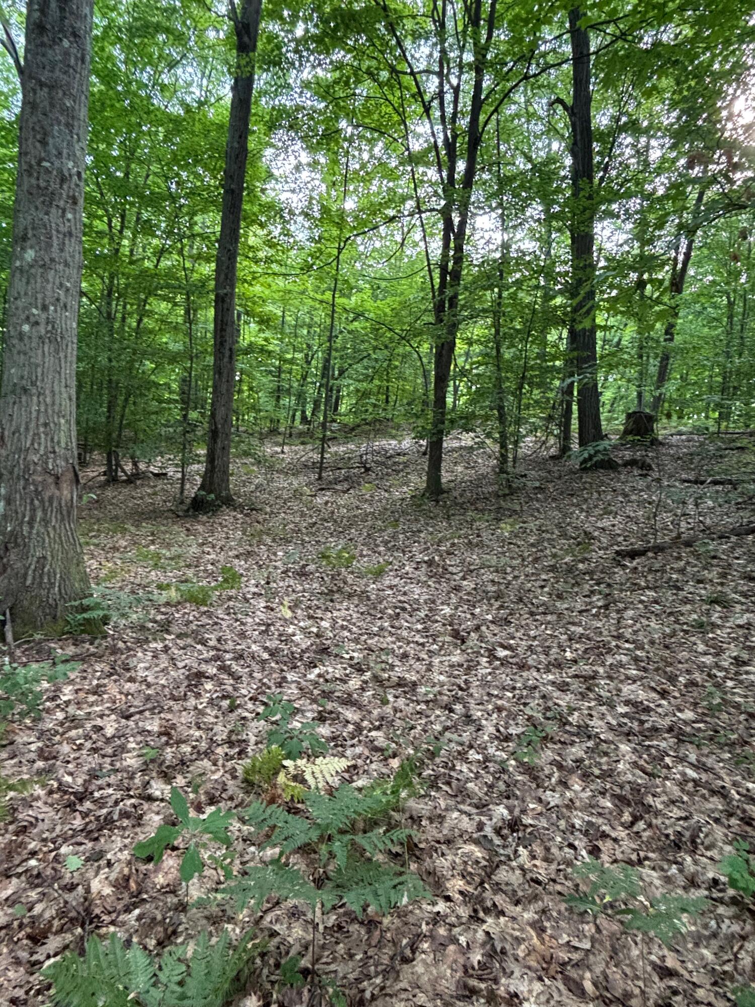 2905 E Jackson Road Property Photo 62