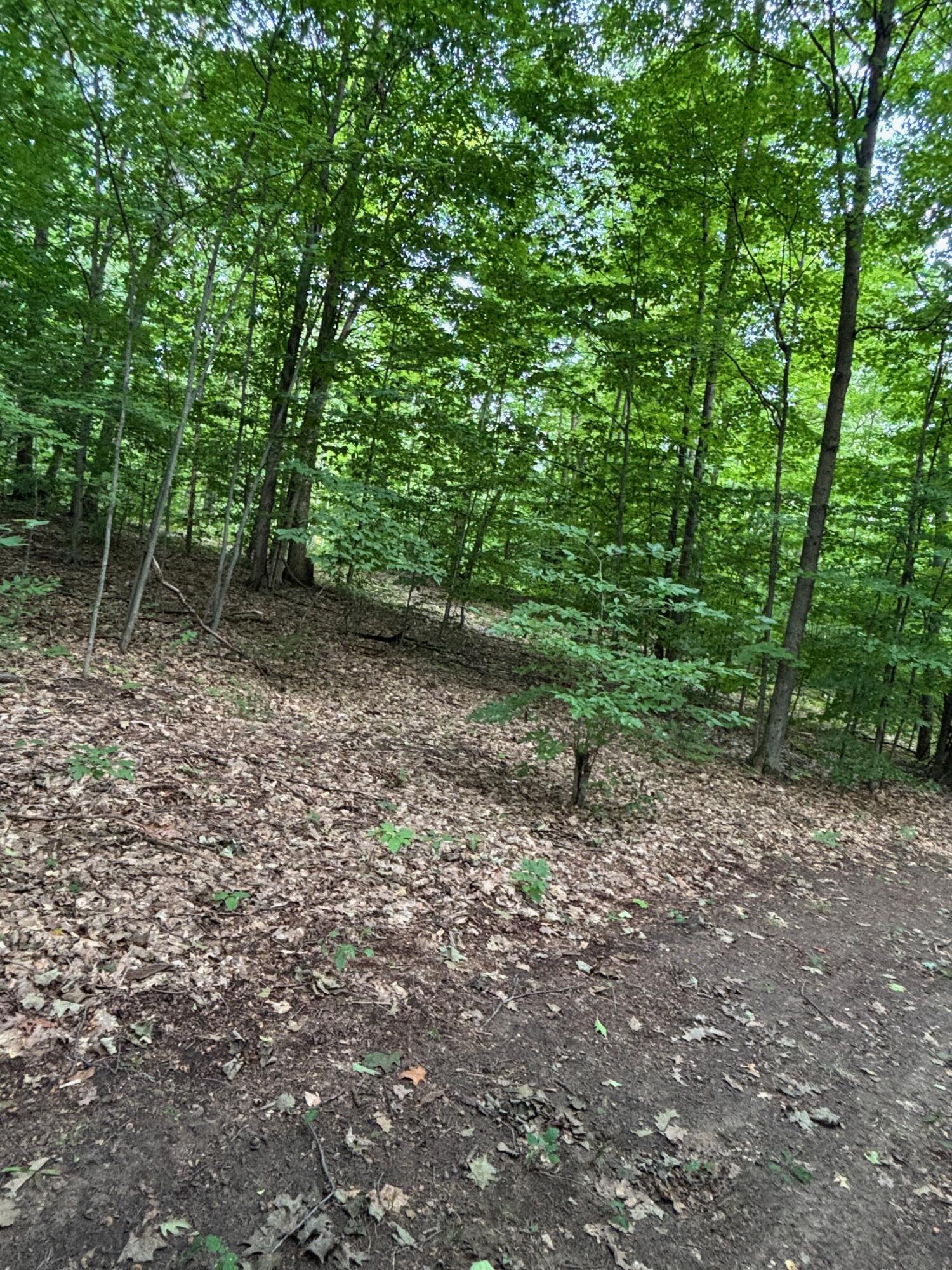 2905 E Jackson Road Property Photo 63