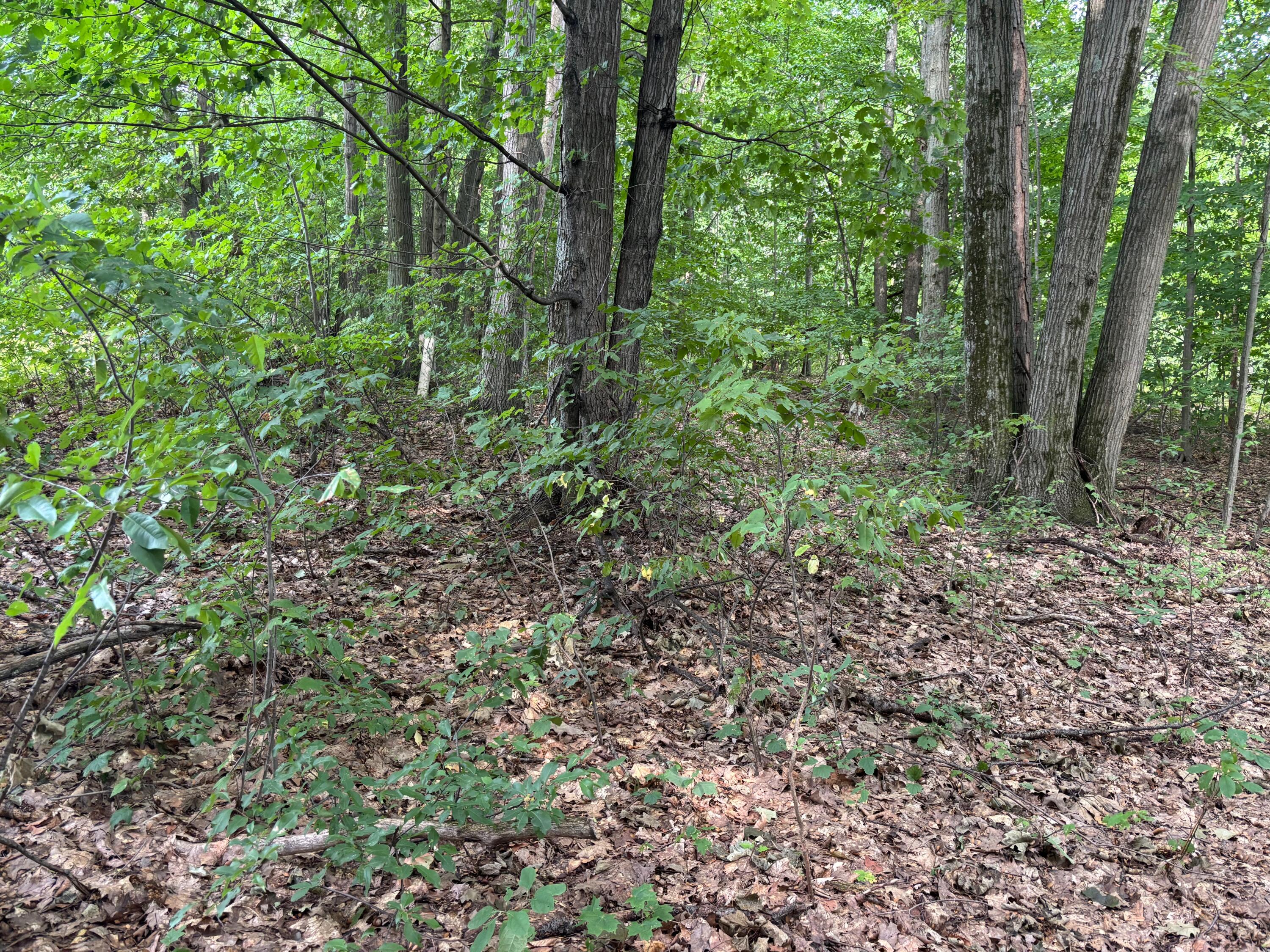 2905 E Jackson Road Property Photo 64
