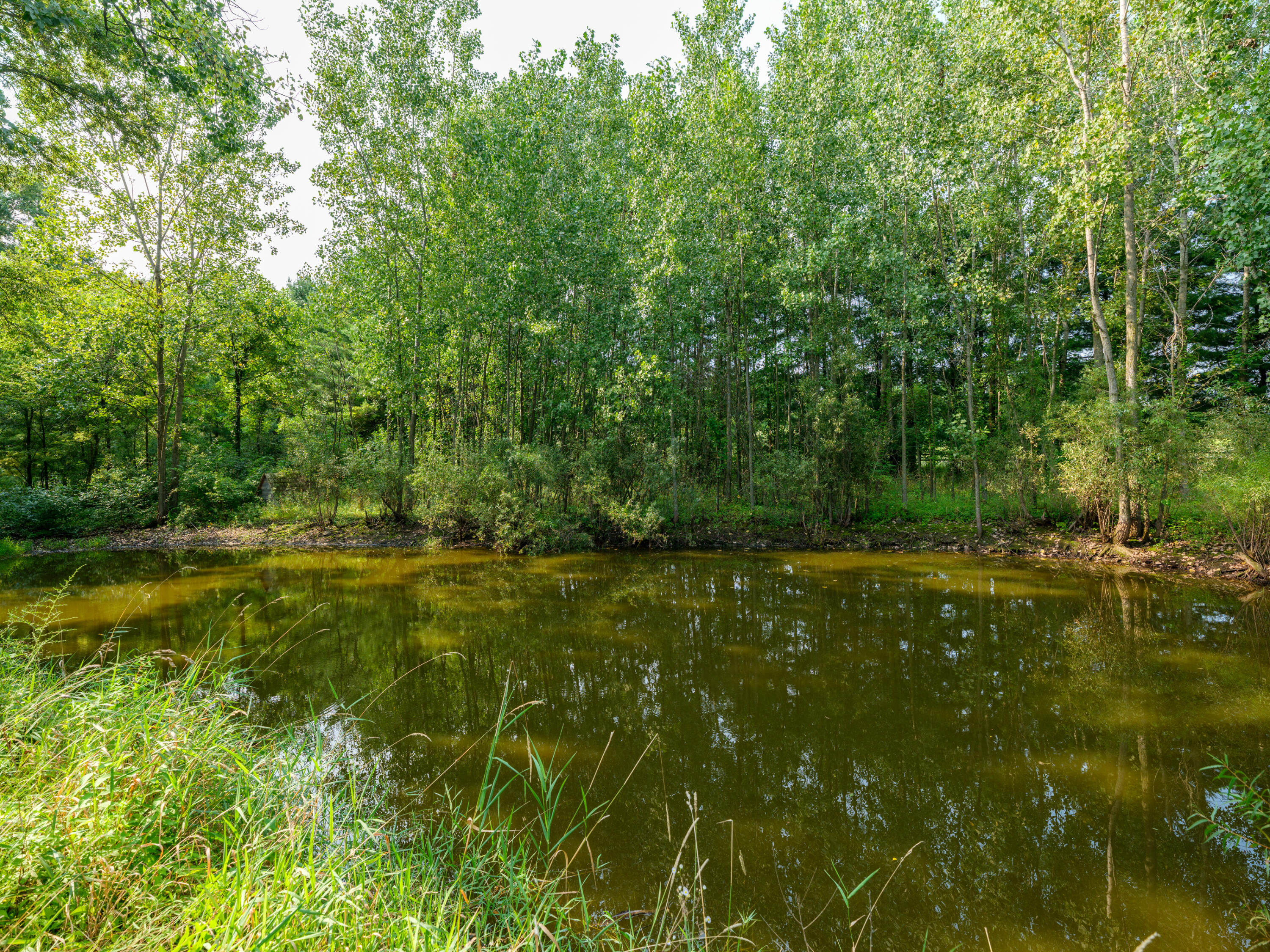 58522 Farrand Road Property Photo 75