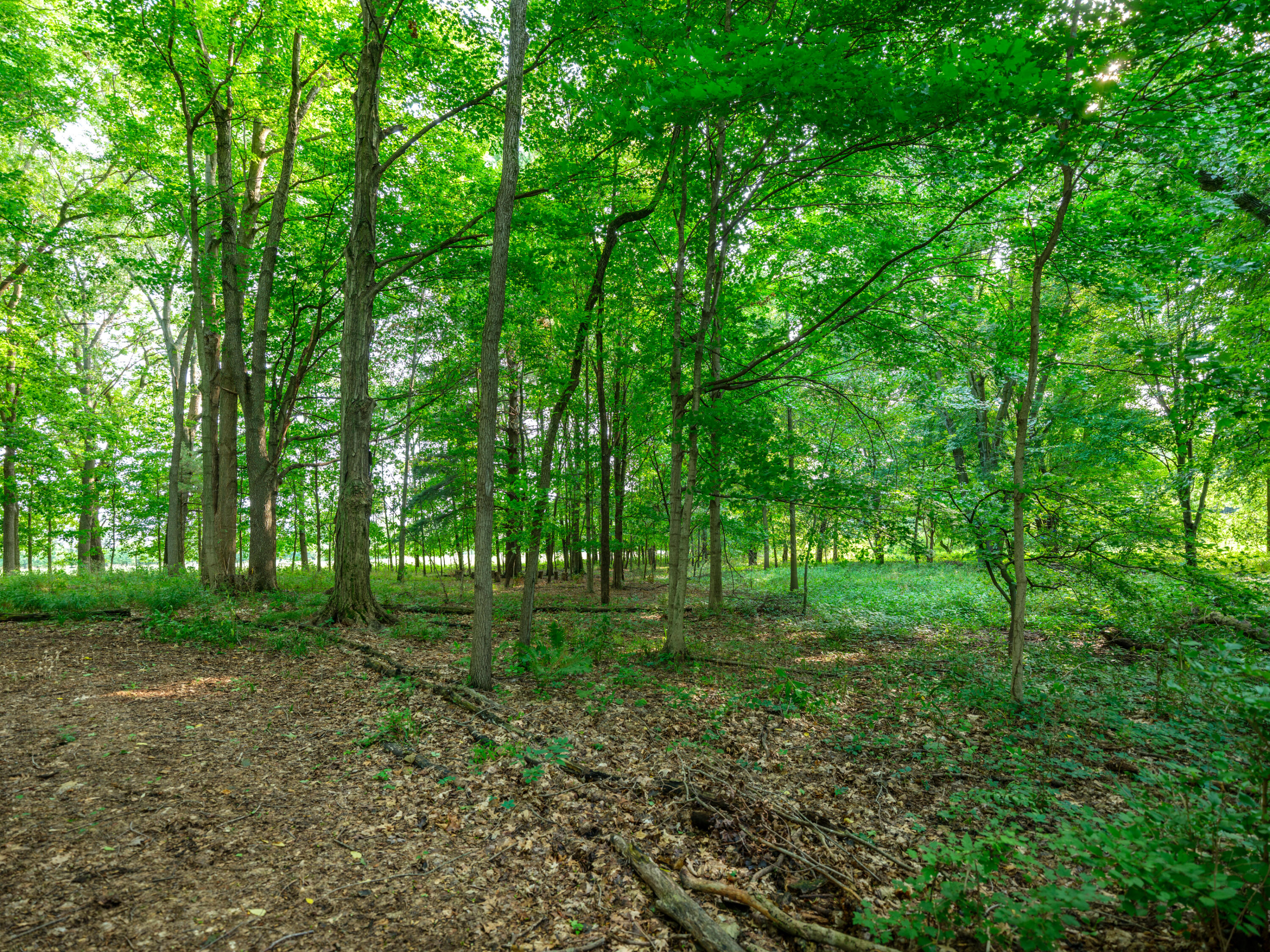 58522 Farrand Road Property Photo 89