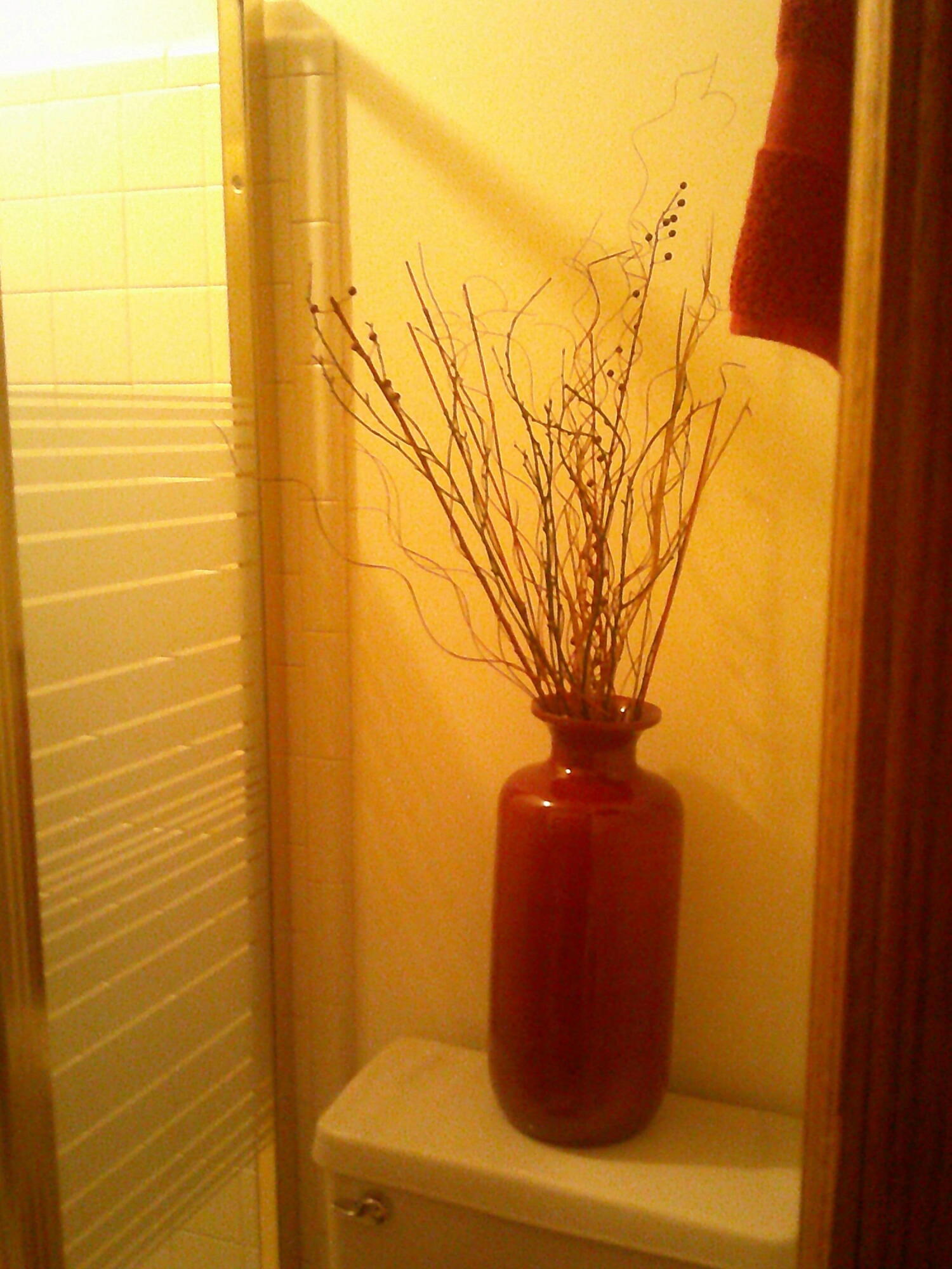 7107 La Paloma Lane Property Photo 37