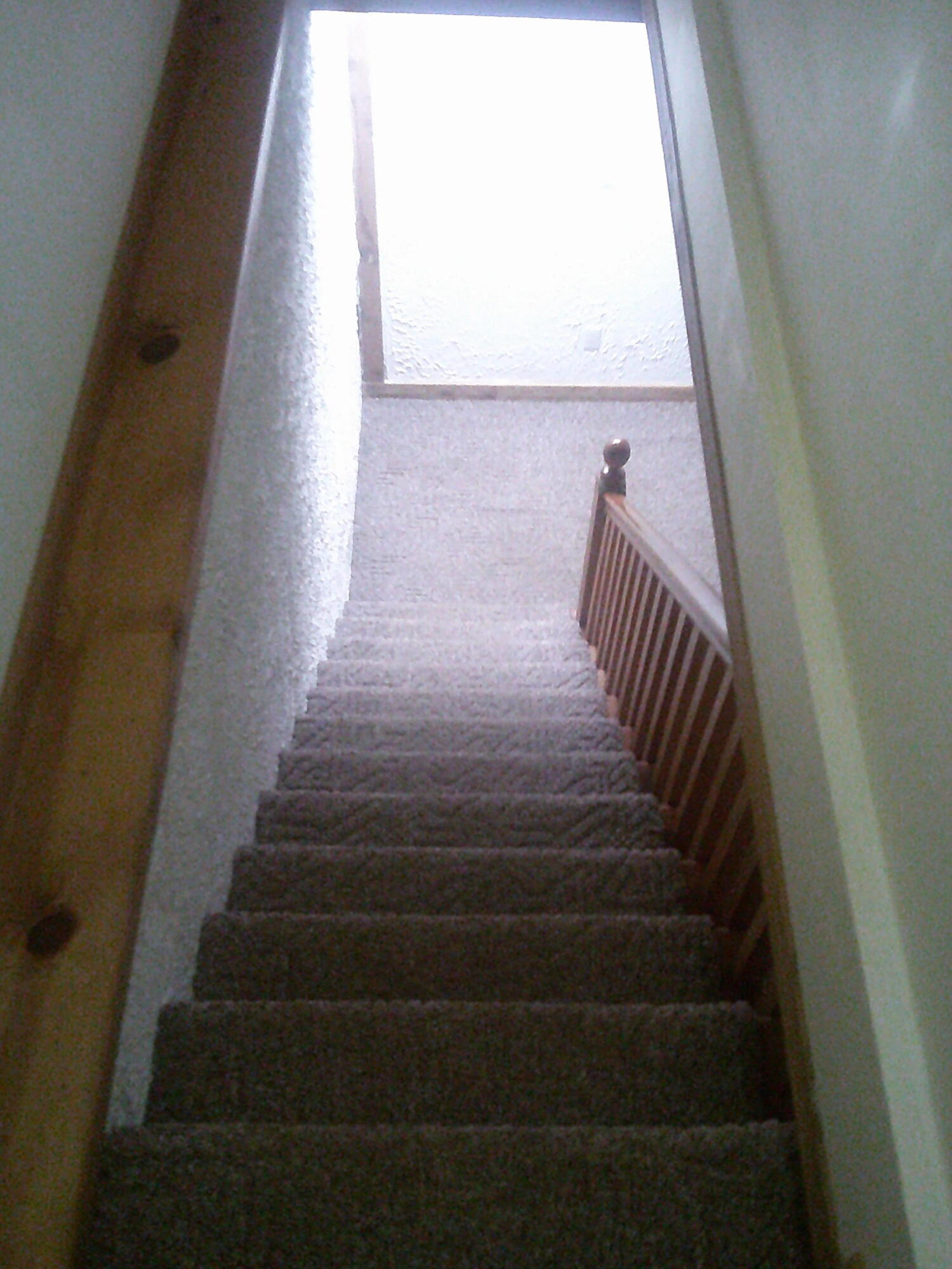 7107 La Paloma Lane Property Photo 49