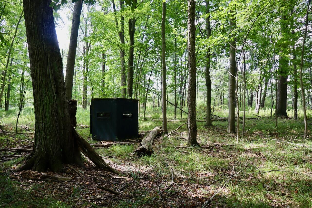 2074 W Olson Road Property Photo 12