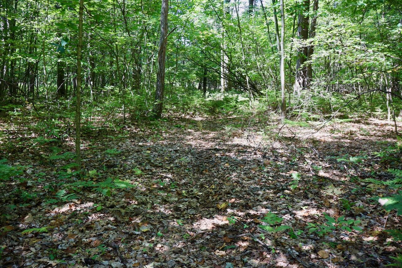 2074 W Olson Road Property Photo 13