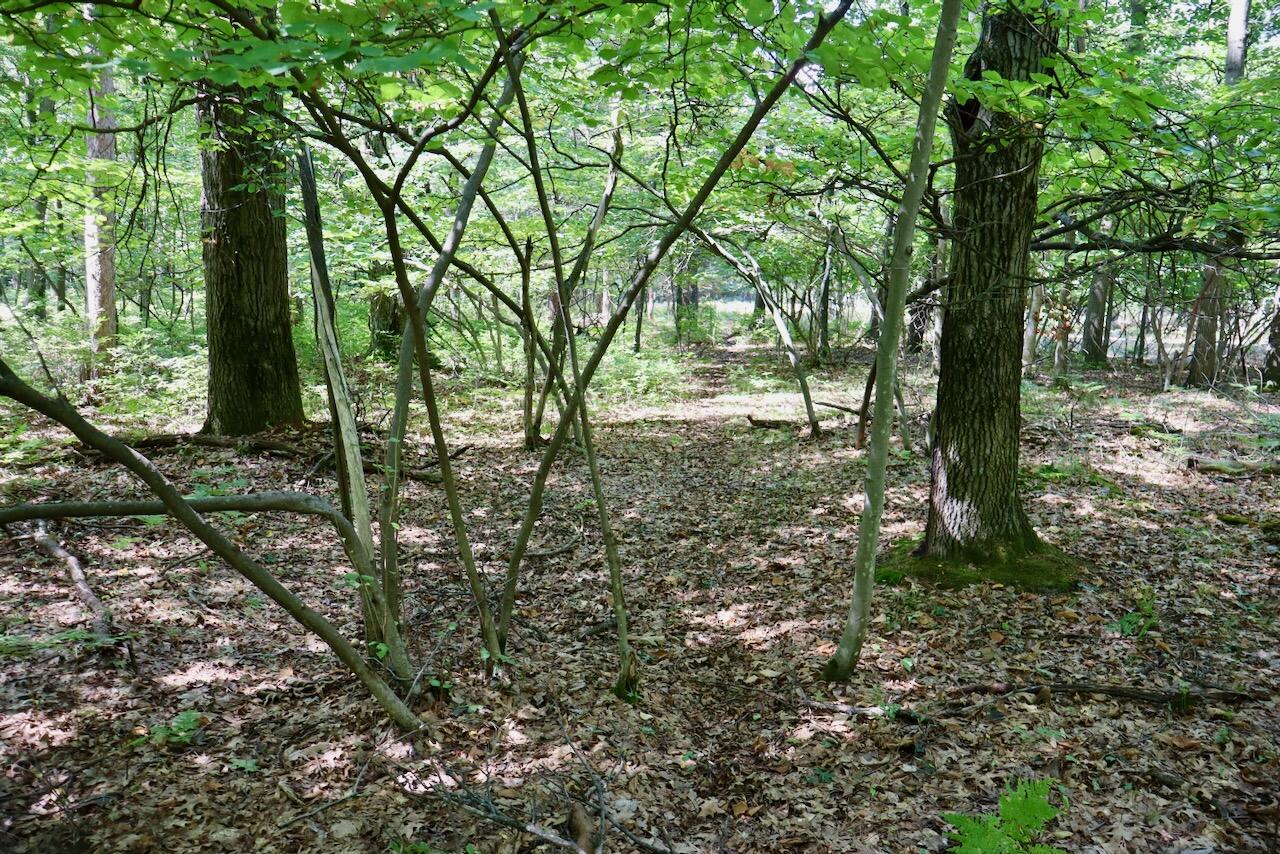 2074 W Olson Road Property Photo 99