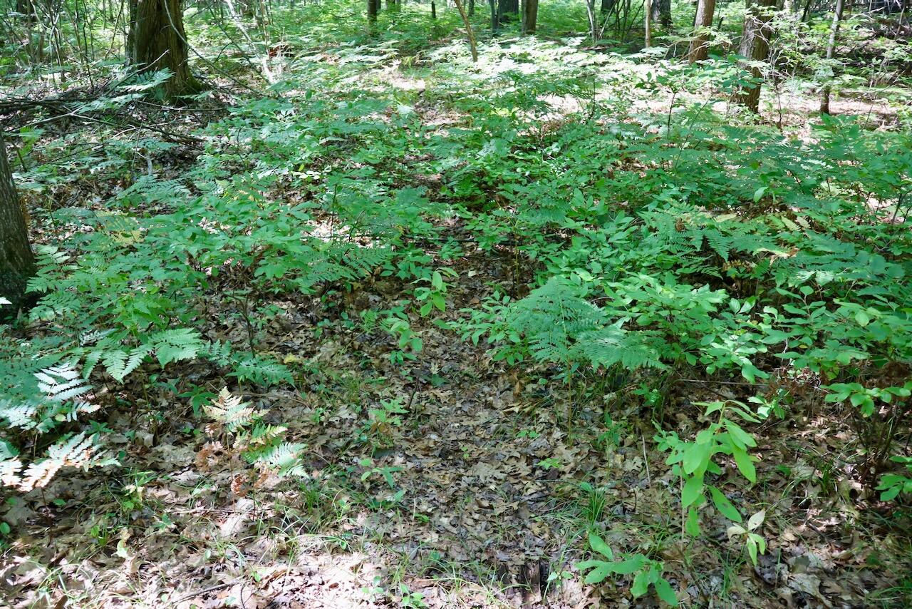 2074 W Olson Road Property Photo 106