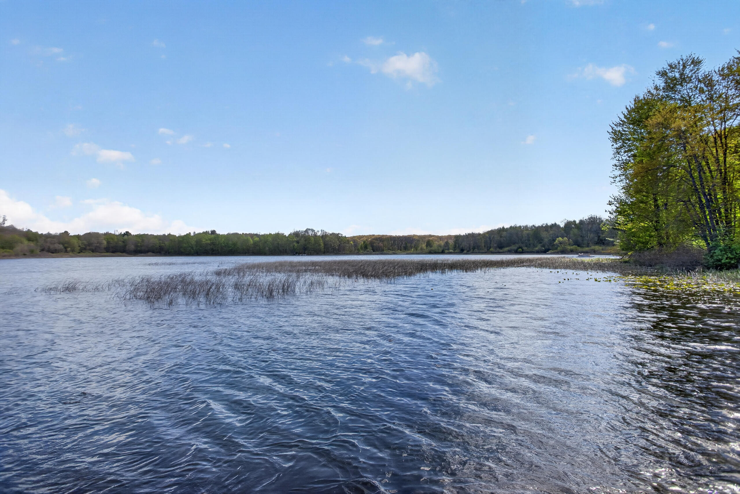 12001 Strait Road Property Photo 67