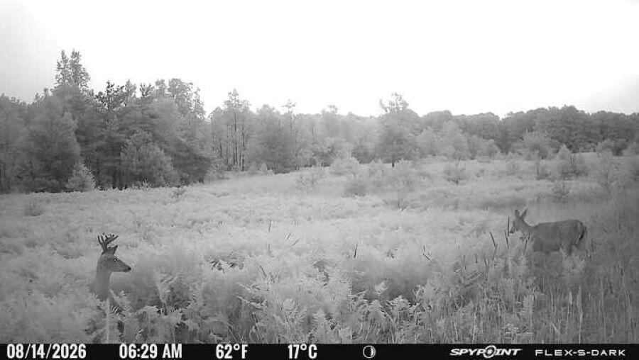 145 S 35 Road Property Photo 58