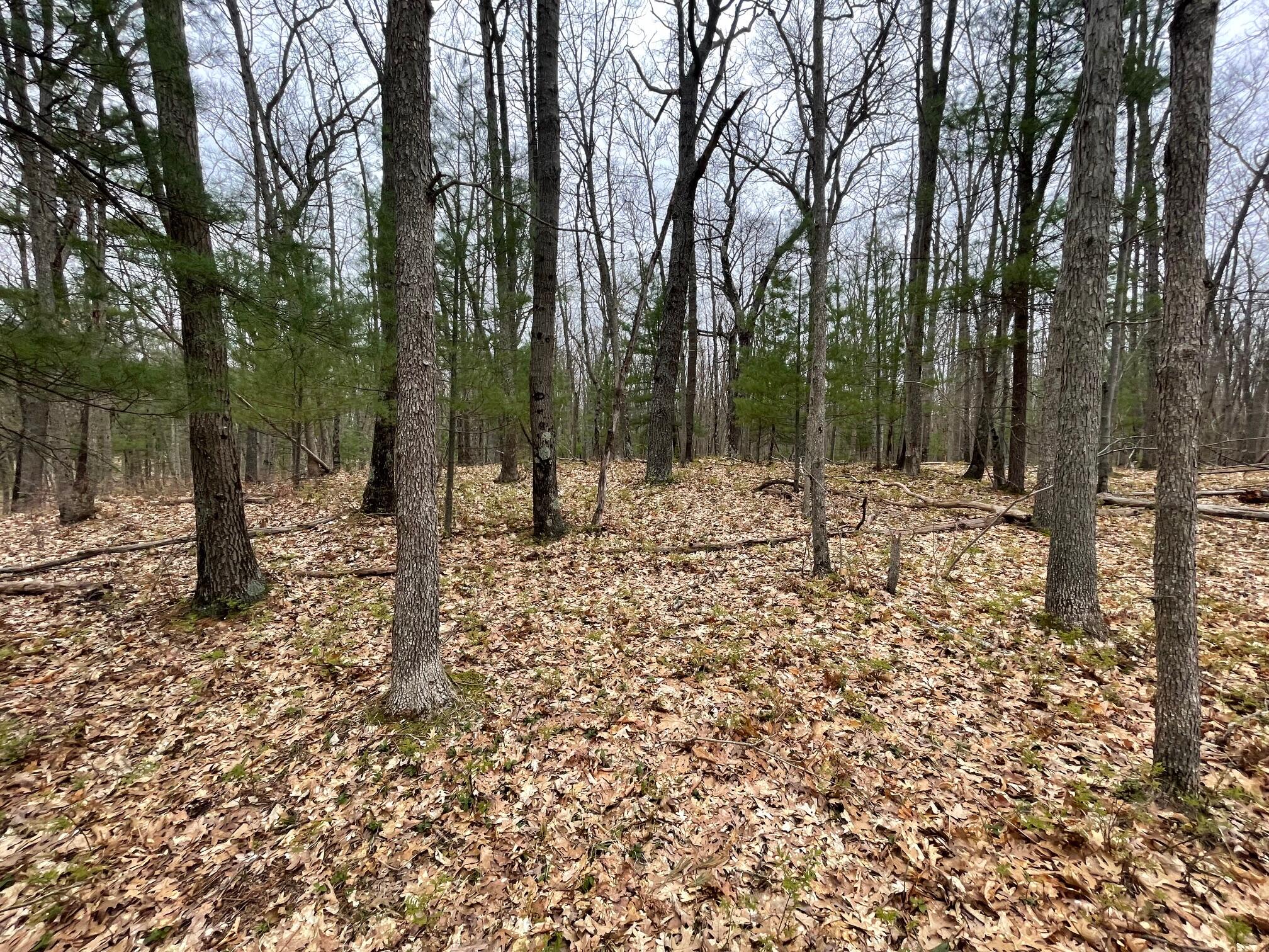 V/l Coates Highway Property Photo 2