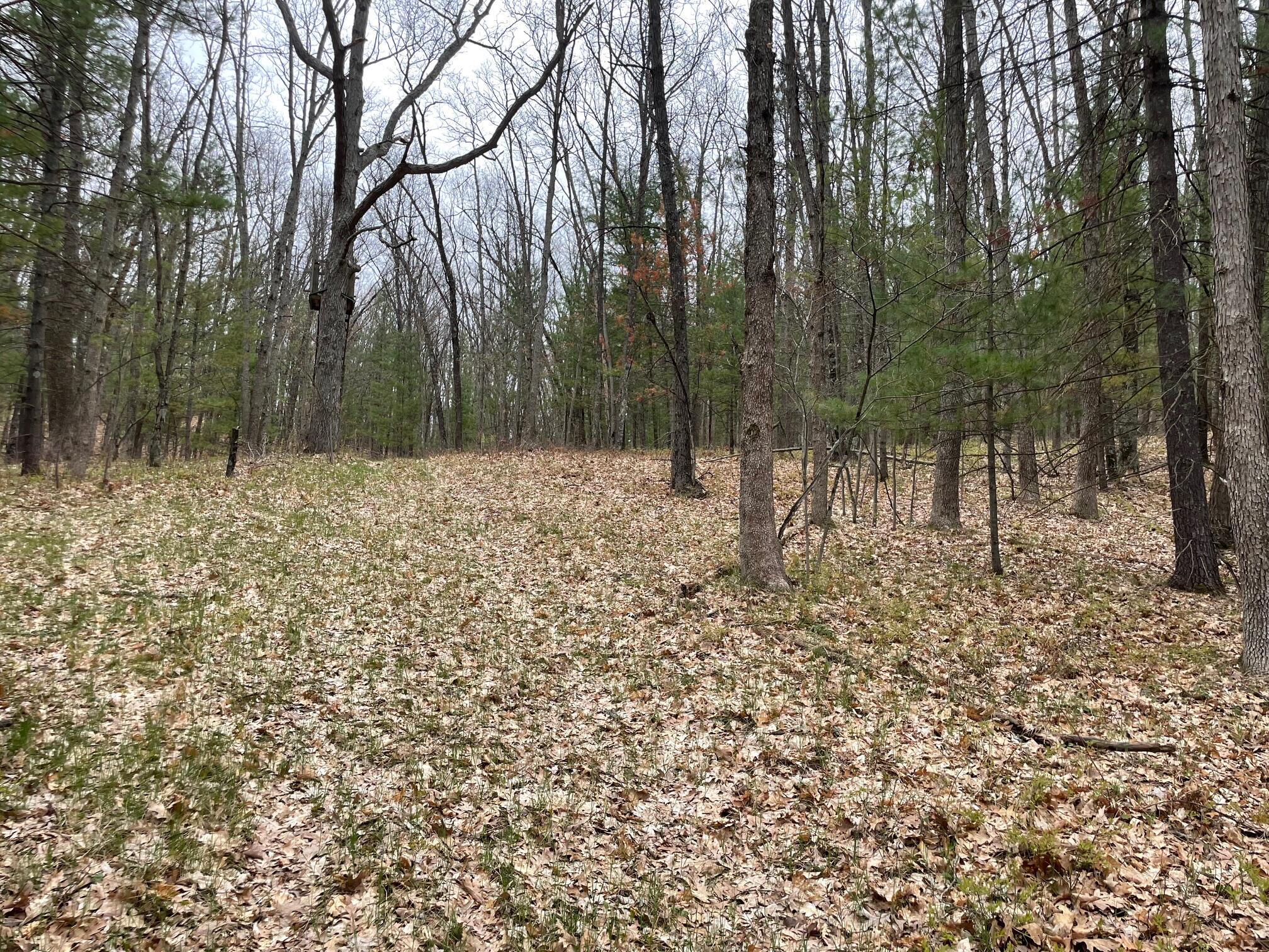 V/l Coates Highway Property Photo 6