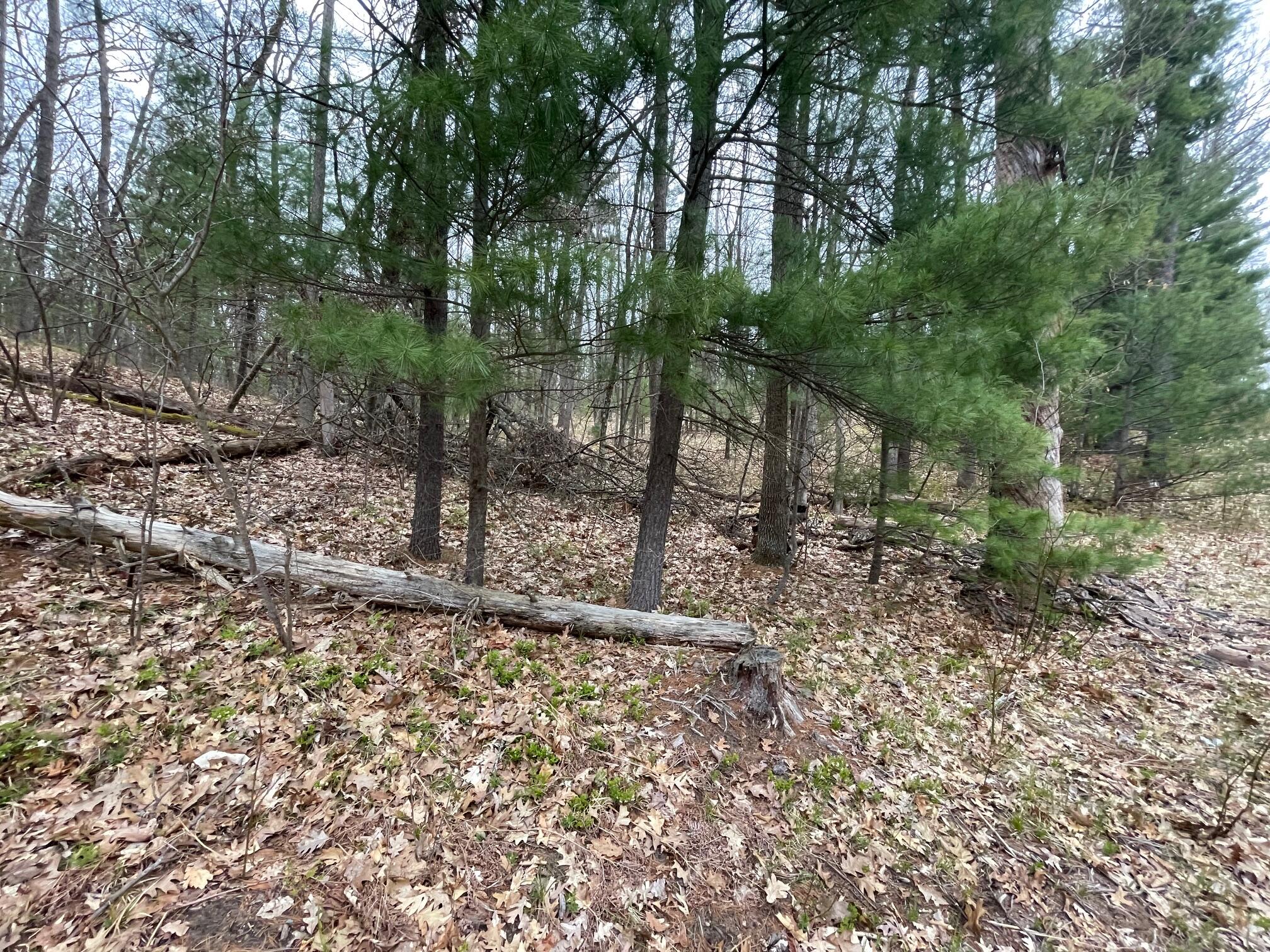 V/l Coates Highway Property Photo 16