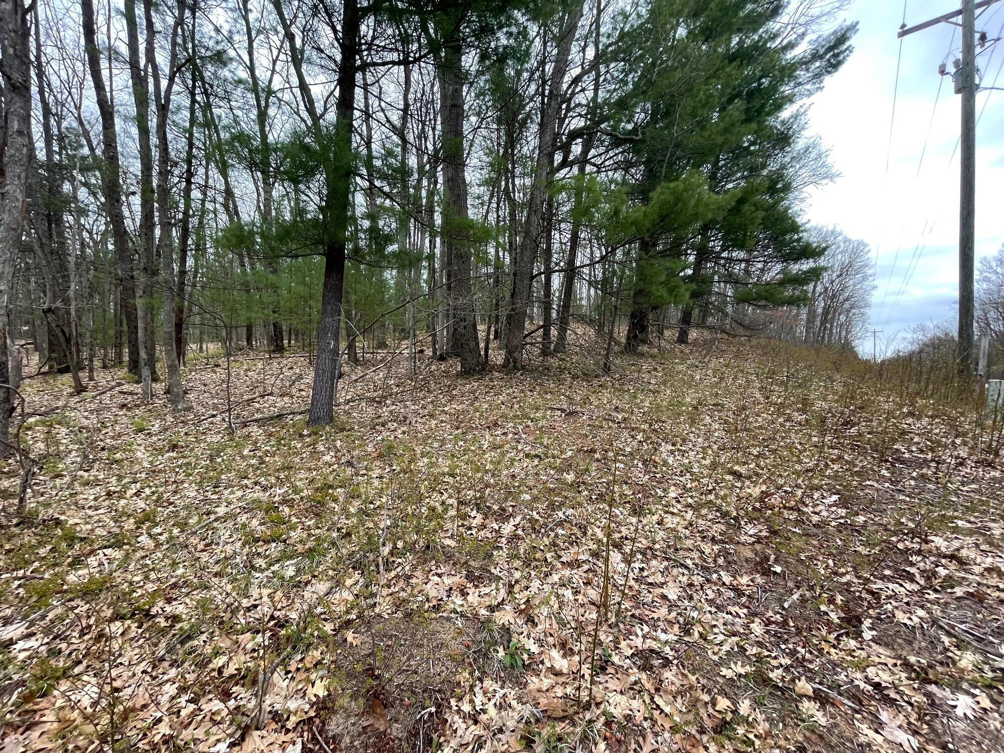 V/l Coates Highway Property Photo 17
