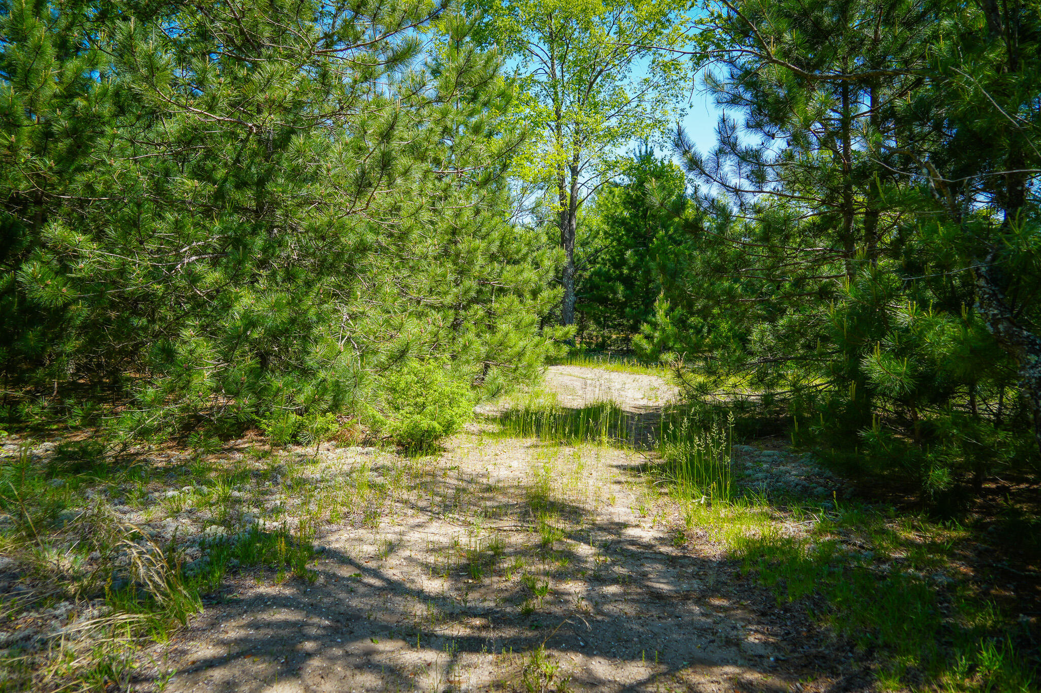 Parcel 2 Makinen Road Property Photo 5