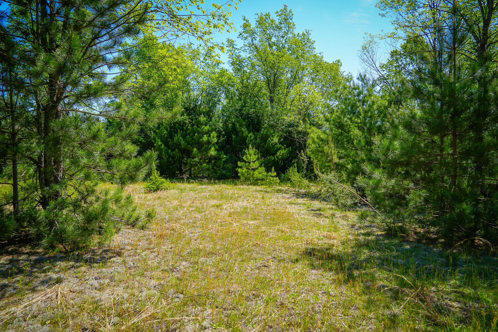 Parcel 2 Makinen Road Property Photo 6