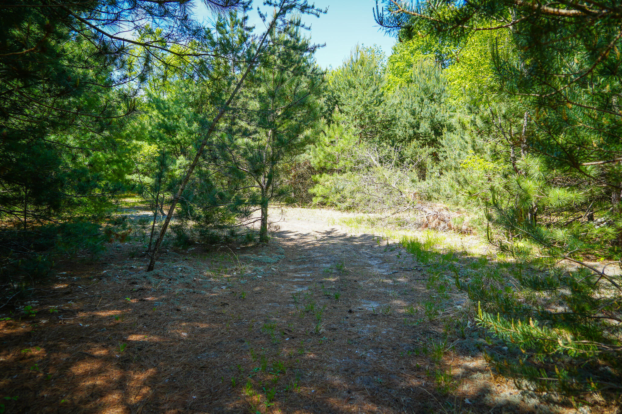 Parcel 2 Makinen Road Property Photo 7