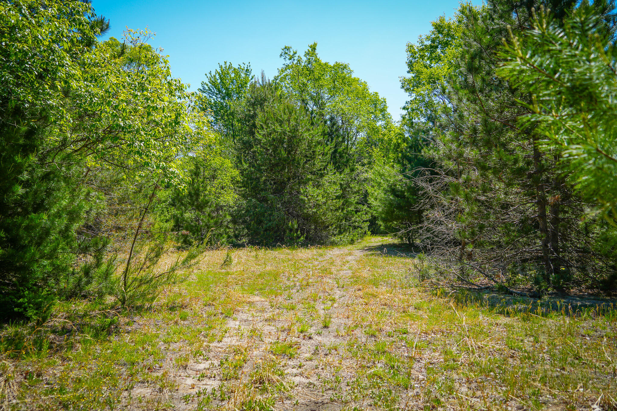 Parcel 2 Makinen Road Property Photo 8