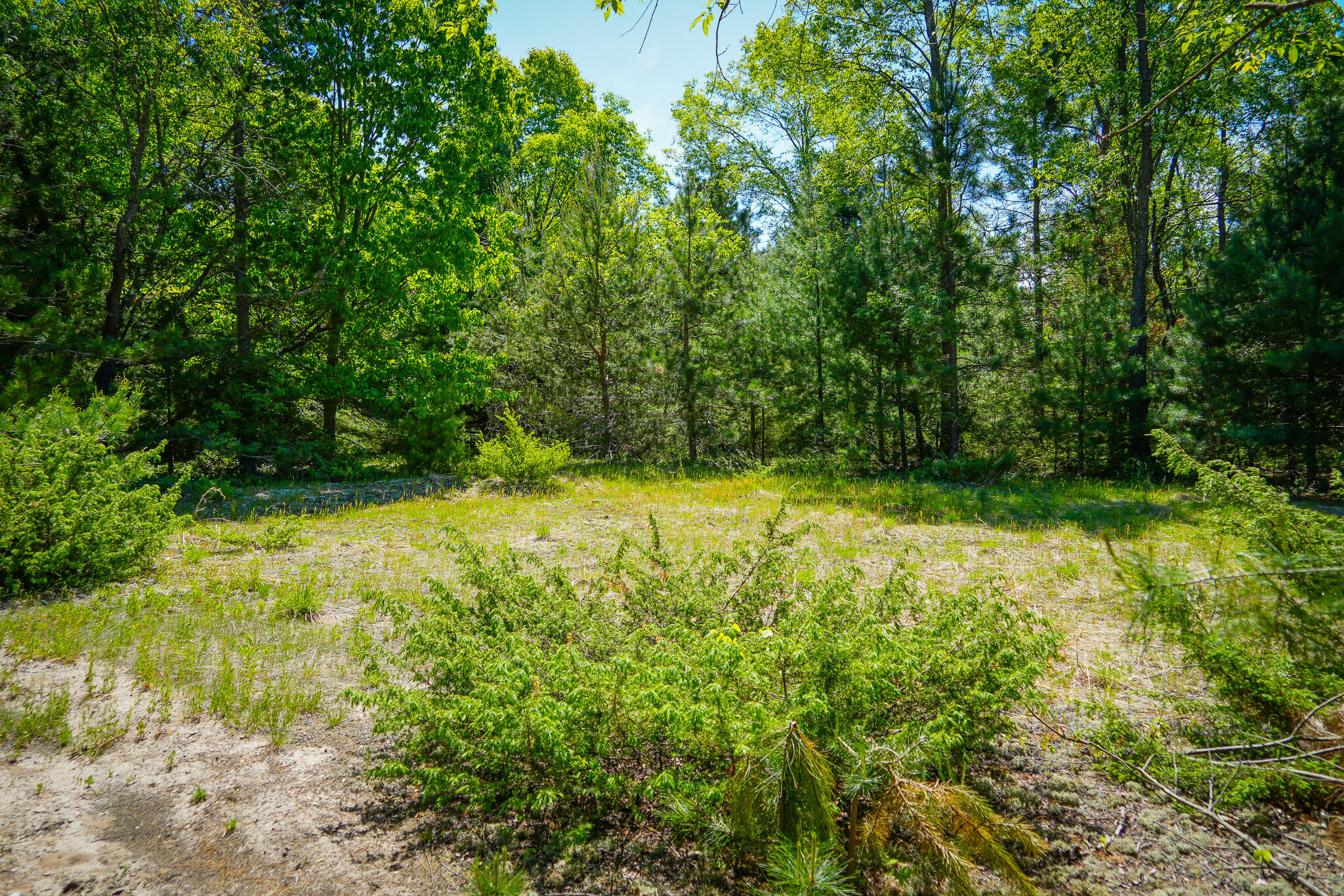 Parcel 2 Makinen Road Property Photo 9