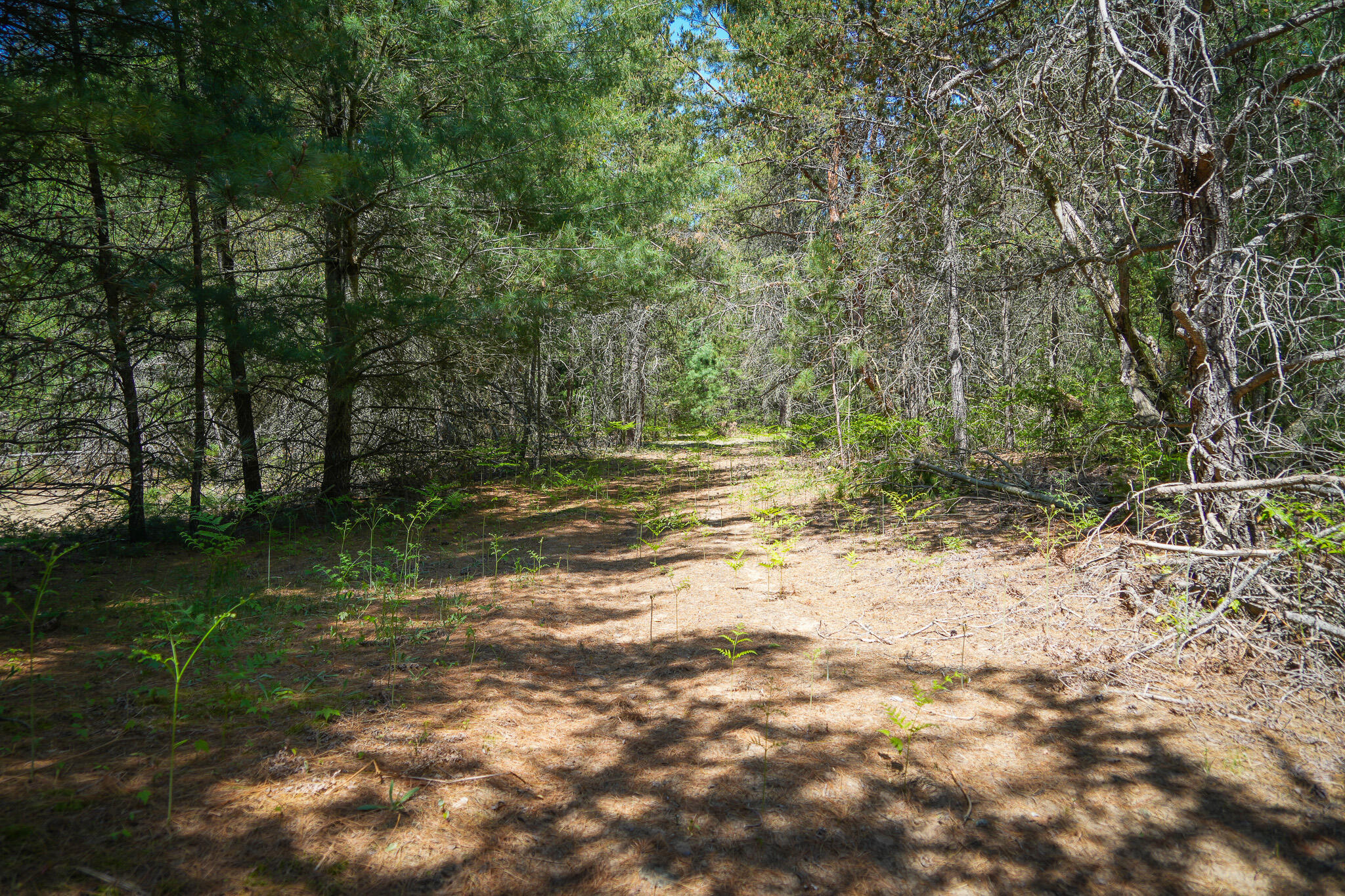 Parcel 2 Makinen Road Property Photo 10