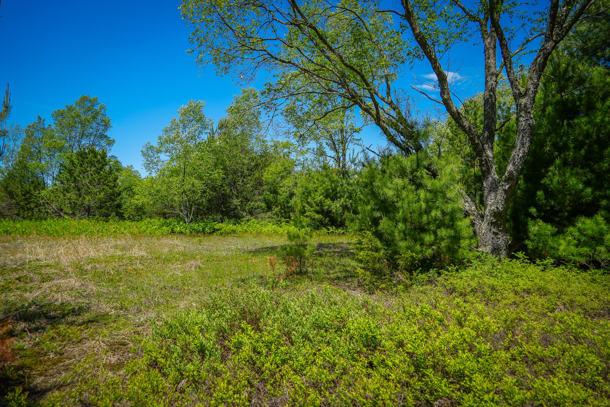 Parcel 2 Makinen Road Property Photo 12