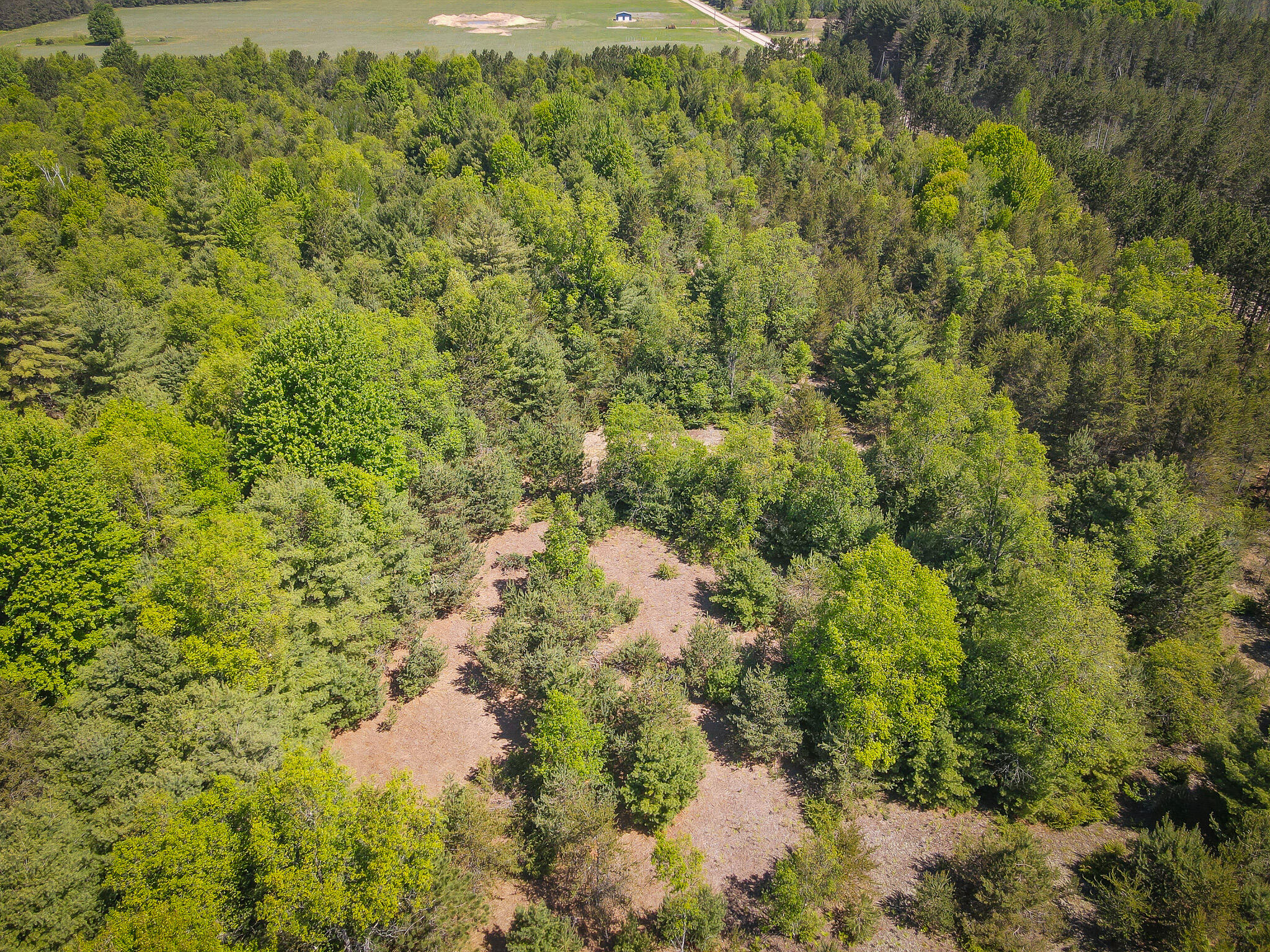 Parcel 2 Makinen Road Property Photo 17
