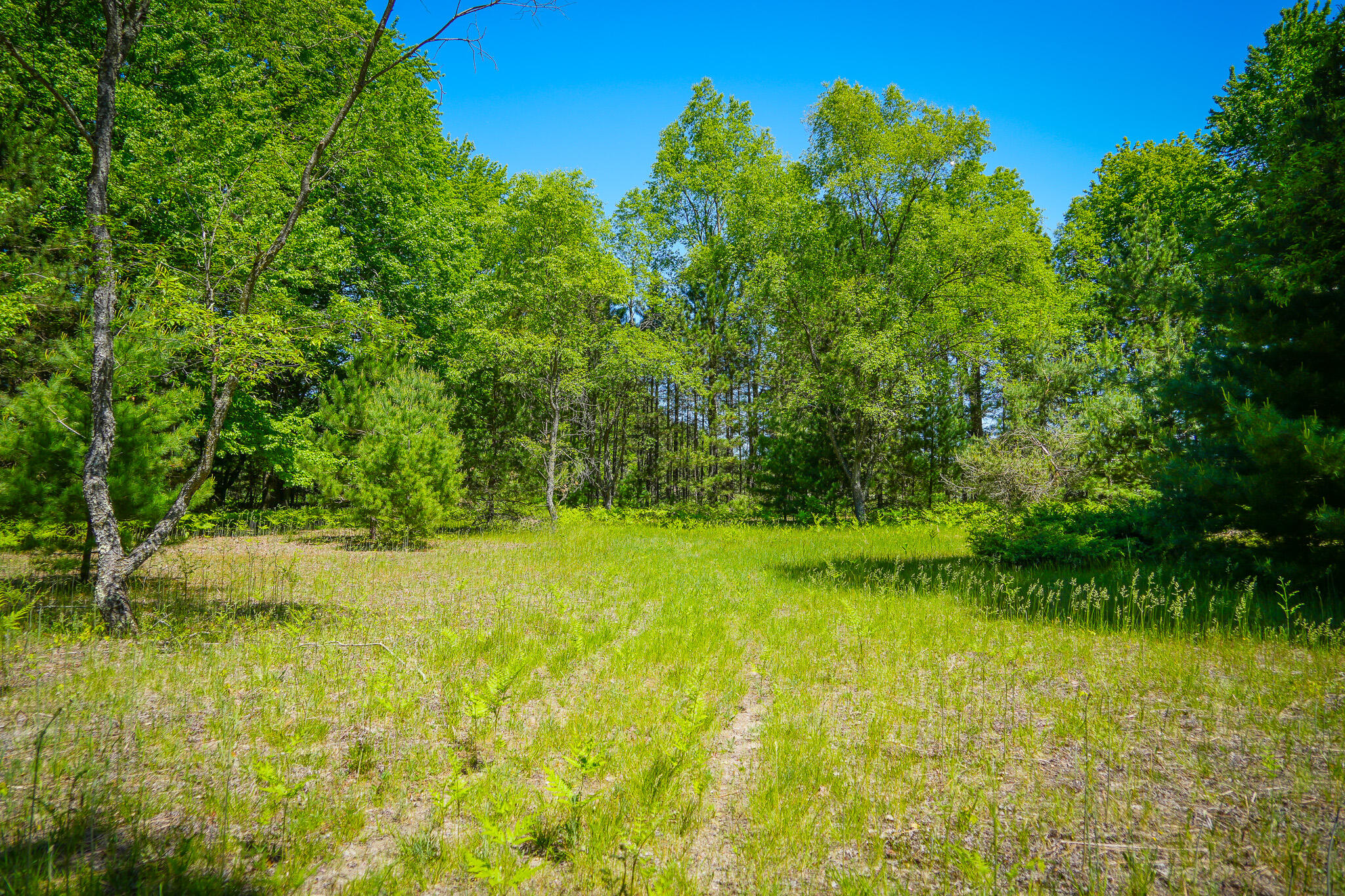 Parcel 2 Makinen Road Property Photo 19