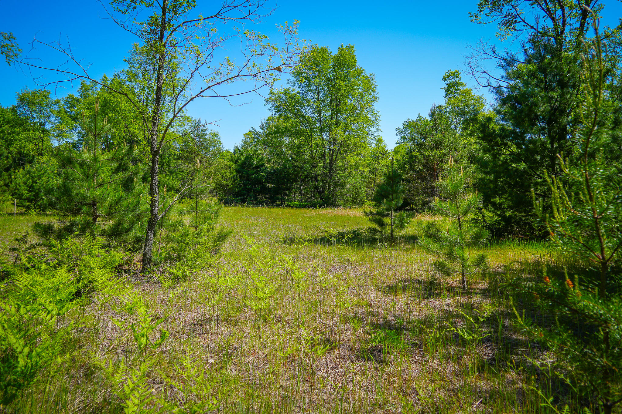 Parcel 2 Makinen Road Property Photo 20