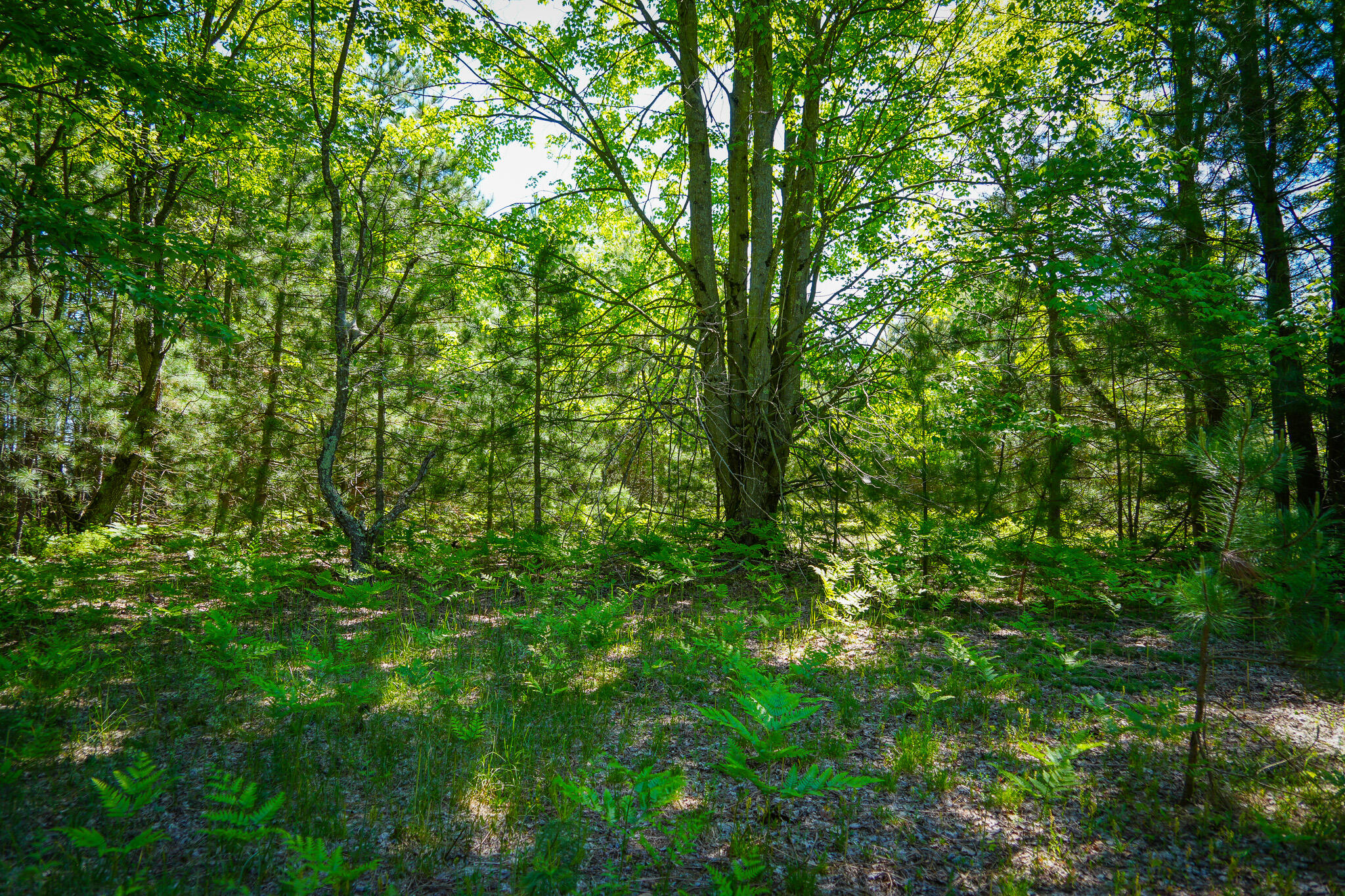 Parcel 2 Makinen Road Property Photo 21