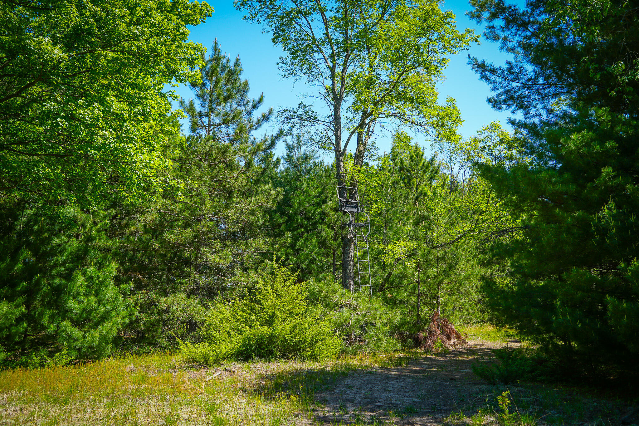 Parcel 2 Makinen Road Property Photo 22