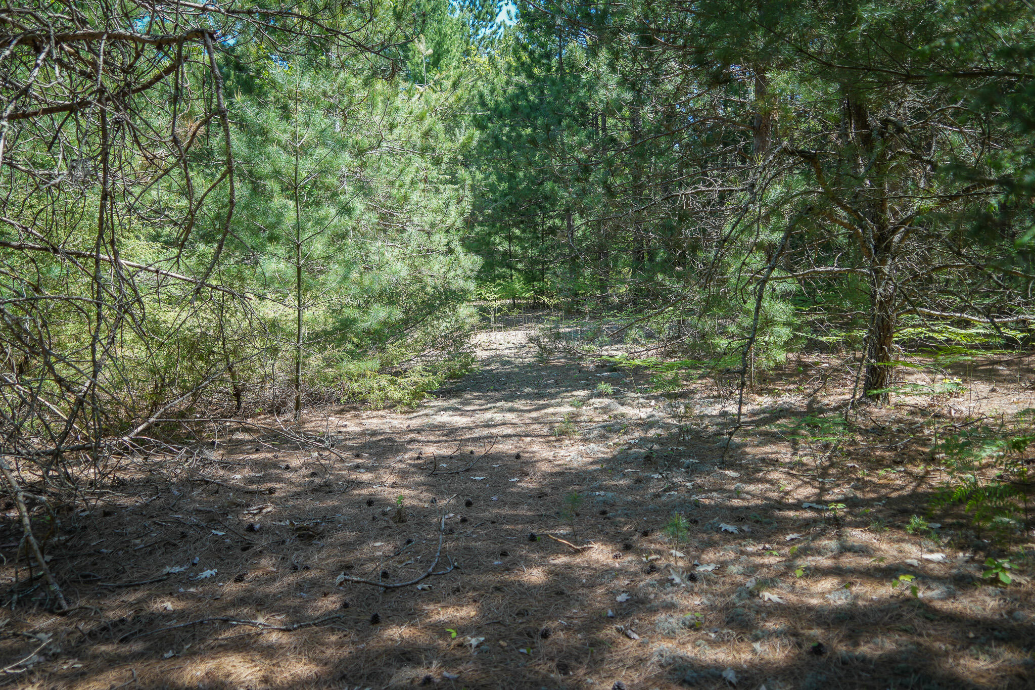 Parcel 2 Makinen Road Property Photo 24