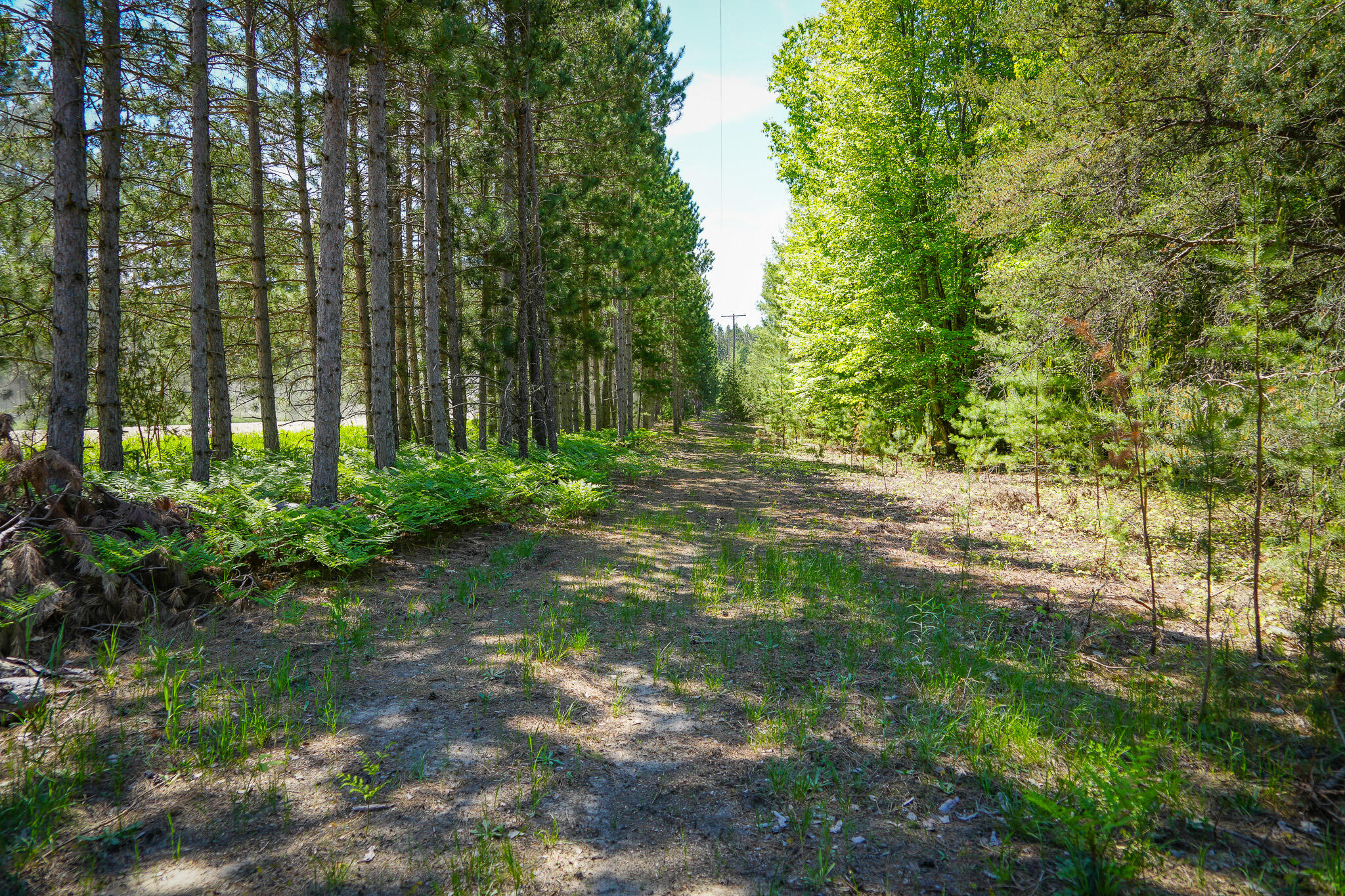 Parcel 2 Makinen Road Property Photo 25
