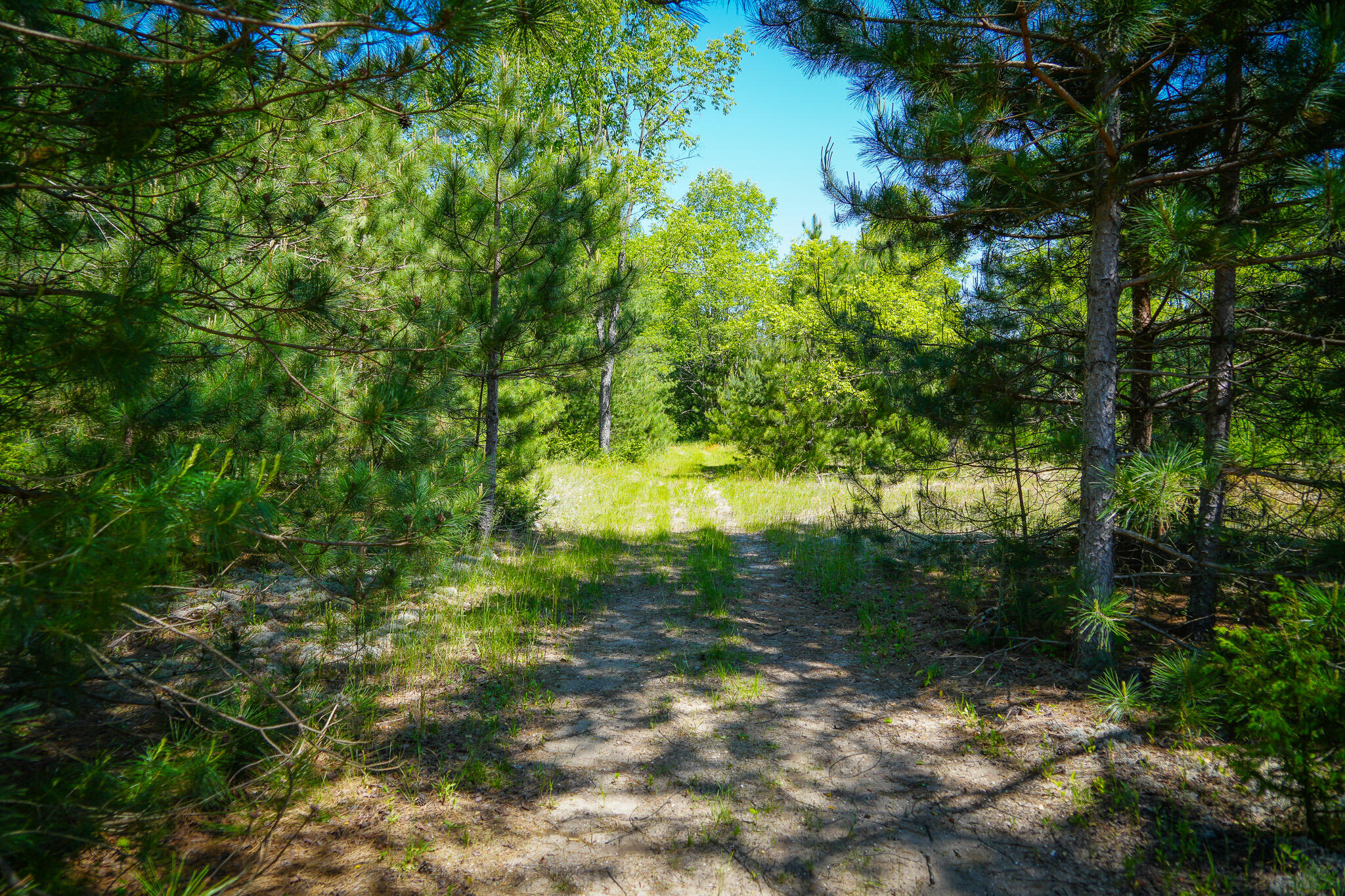 Parcel 2 Makinen Road Property Photo 27
