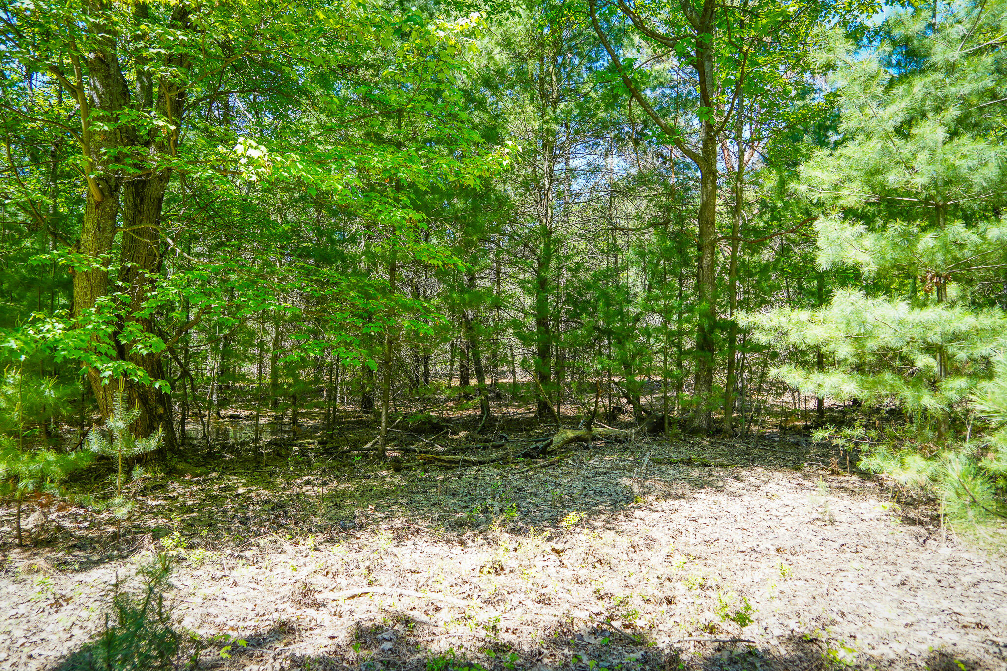 Parcel 2 Makinen Road Property Photo 29