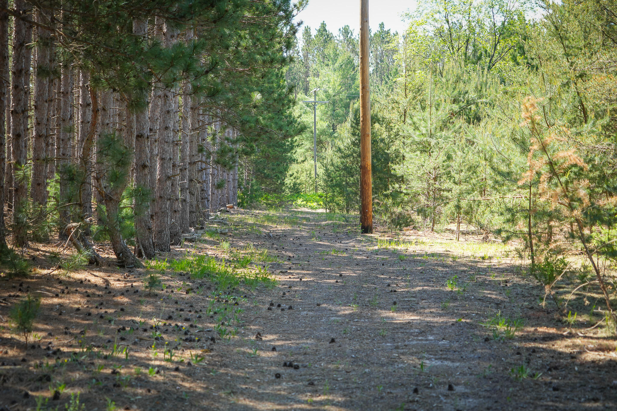 Parcel 2 Makinen Road Property Photo 30