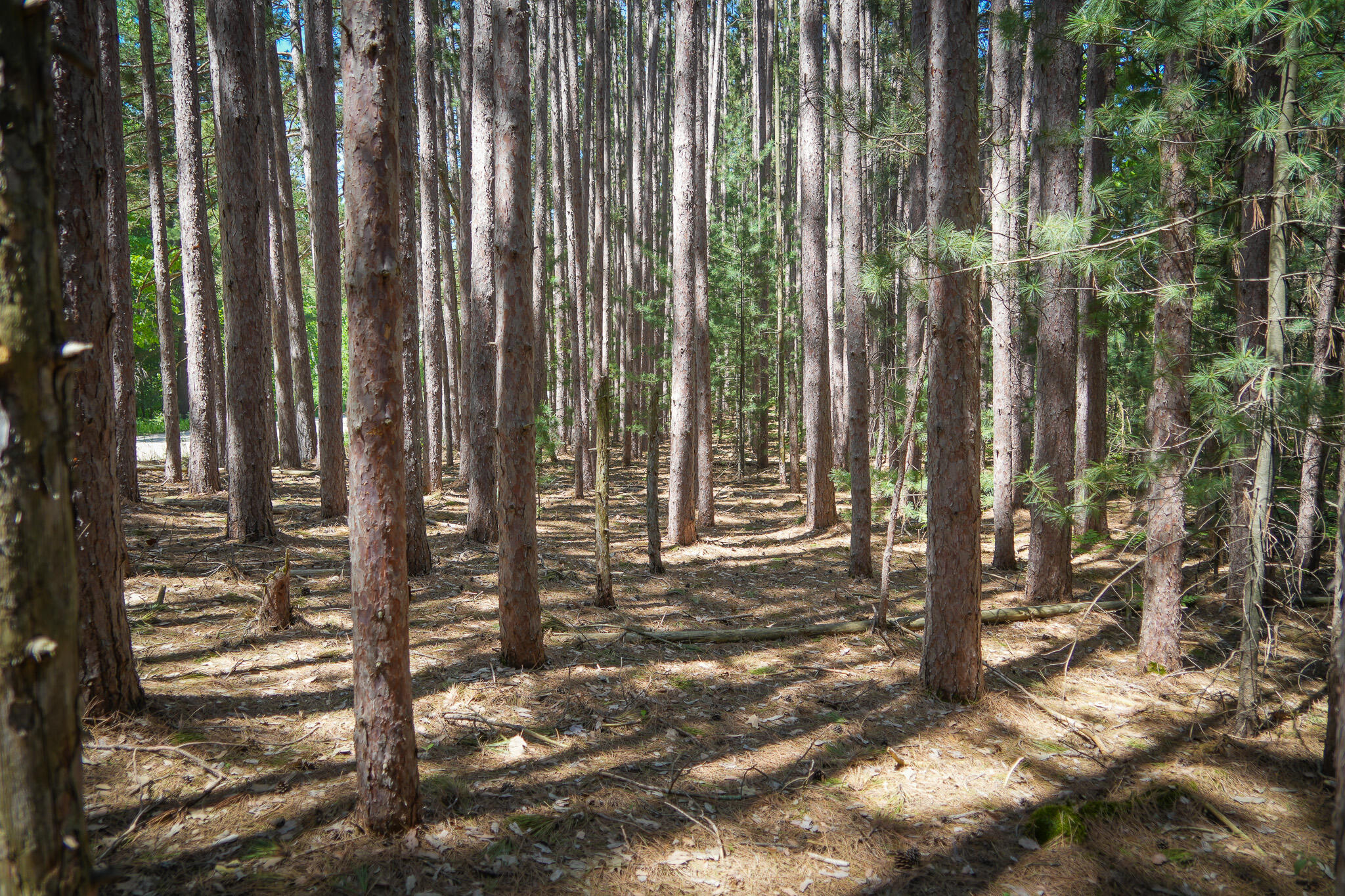 Parcel 2 Makinen Road Property Photo 32