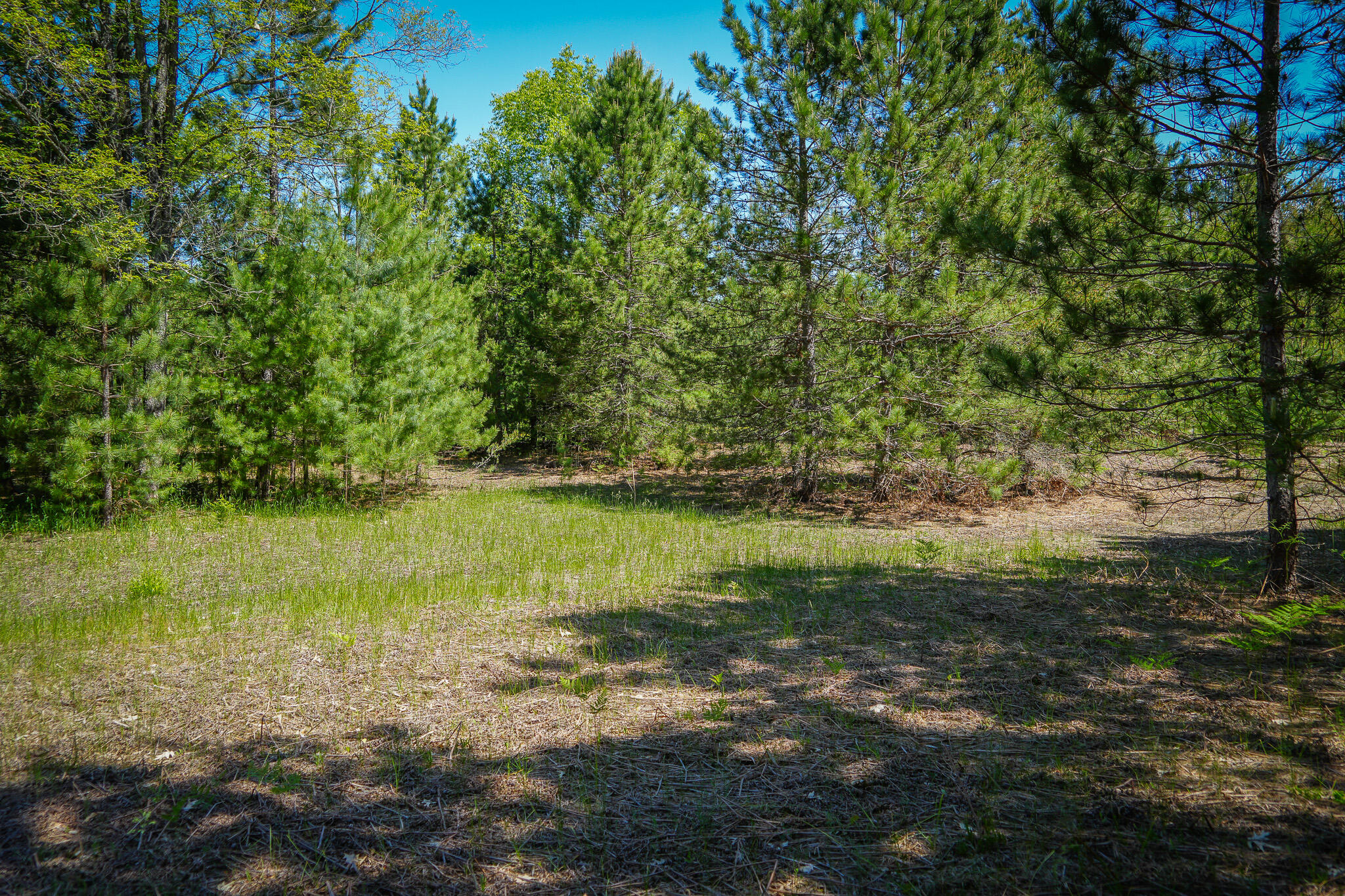 Parcel 2 Makinen Road Property Photo 33