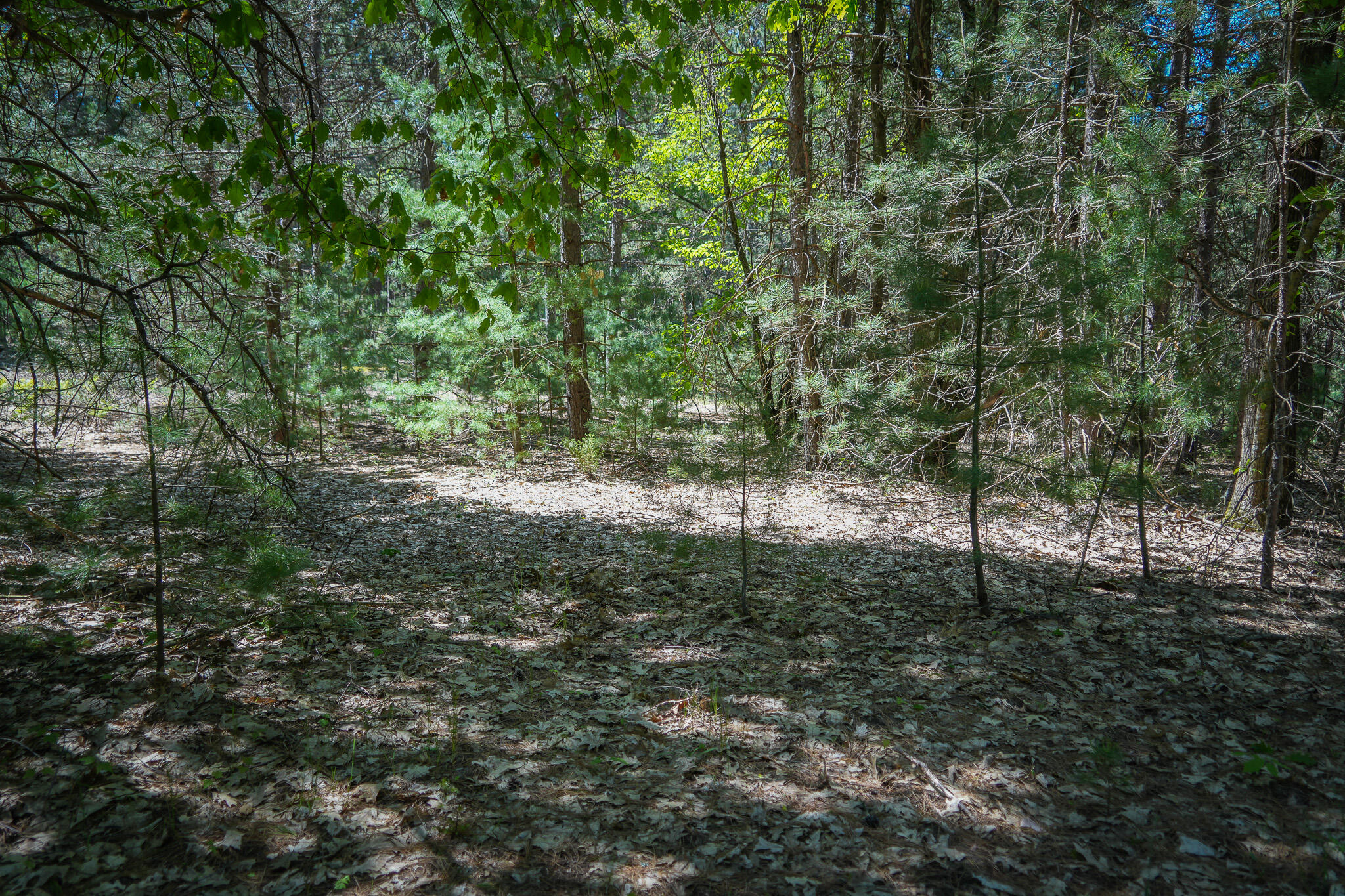 Parcel 2 Makinen Road Property Photo 34