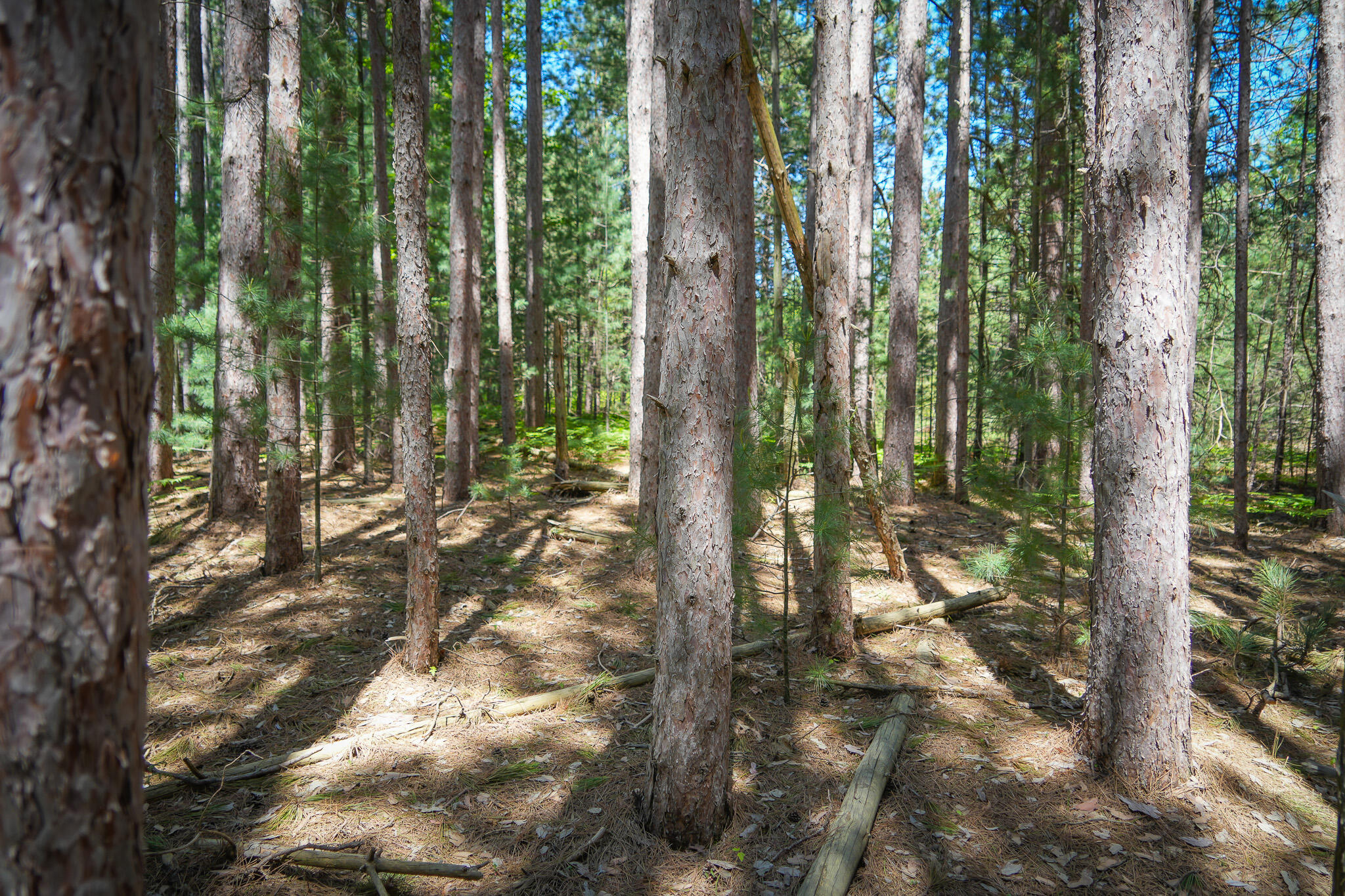 Parcel 2 Makinen Road Property Photo 35