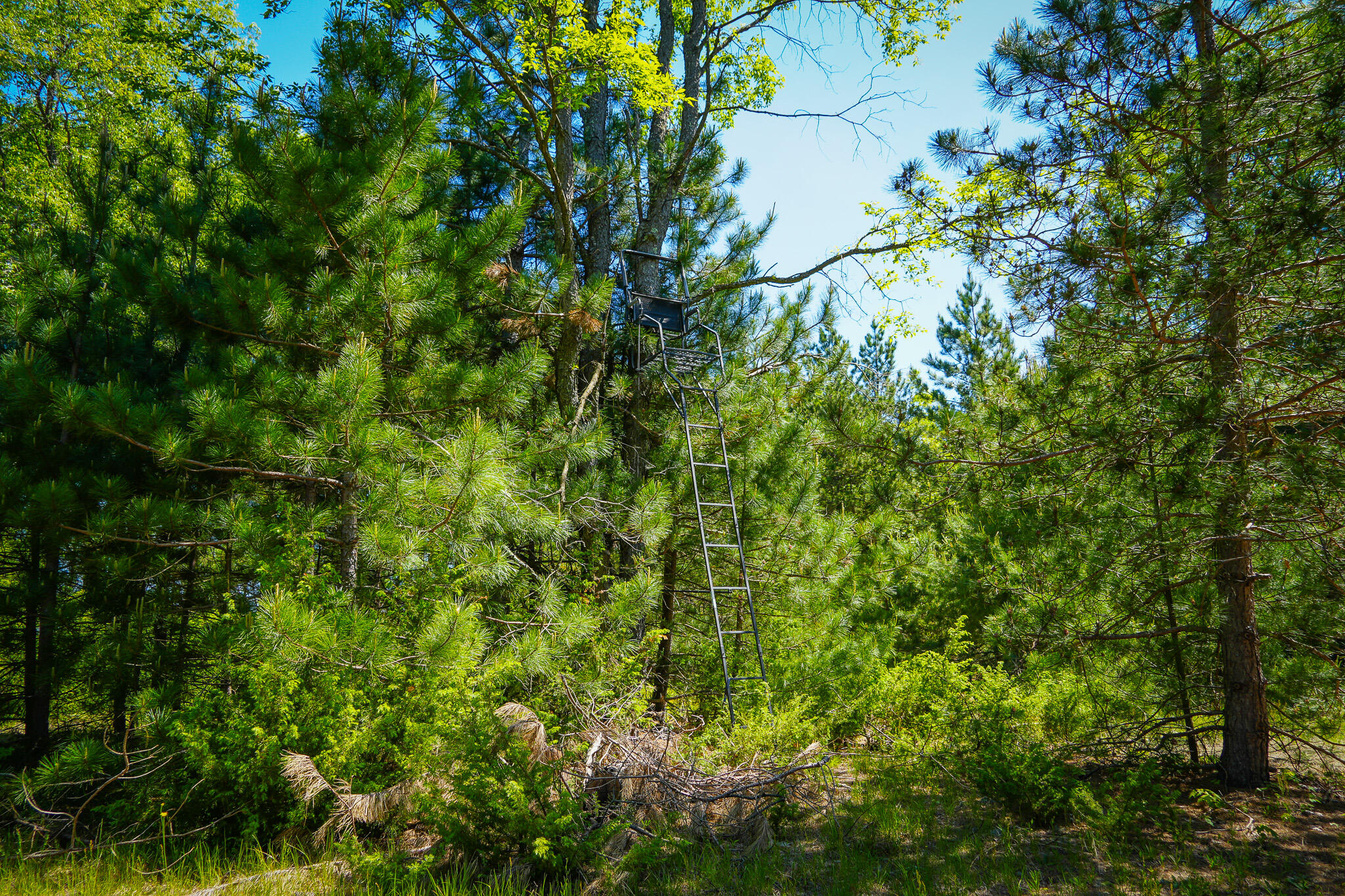 Parcel 2 Makinen Road Property Photo 36