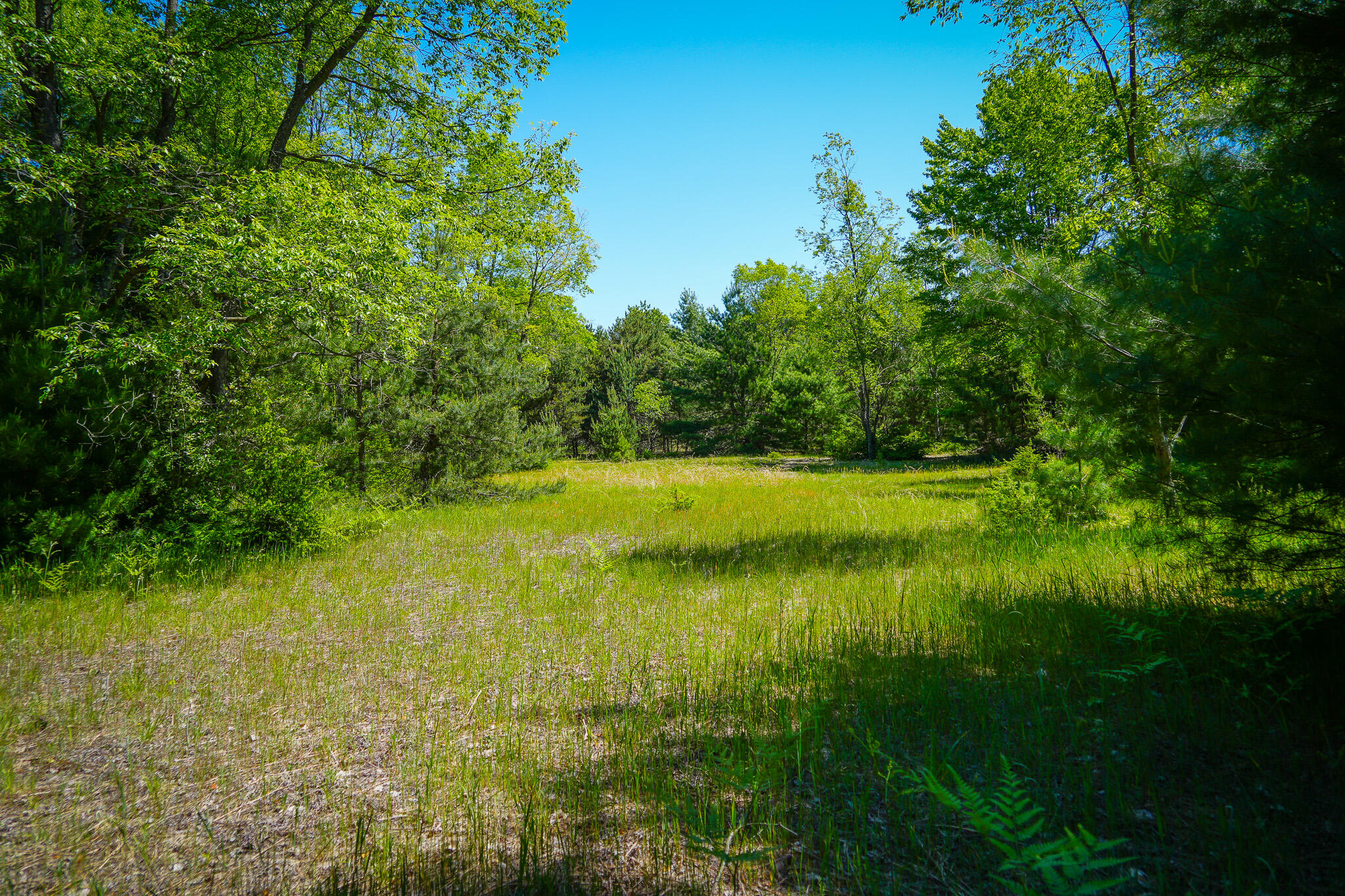Parcel 2 Makinen Road Property Photo 38