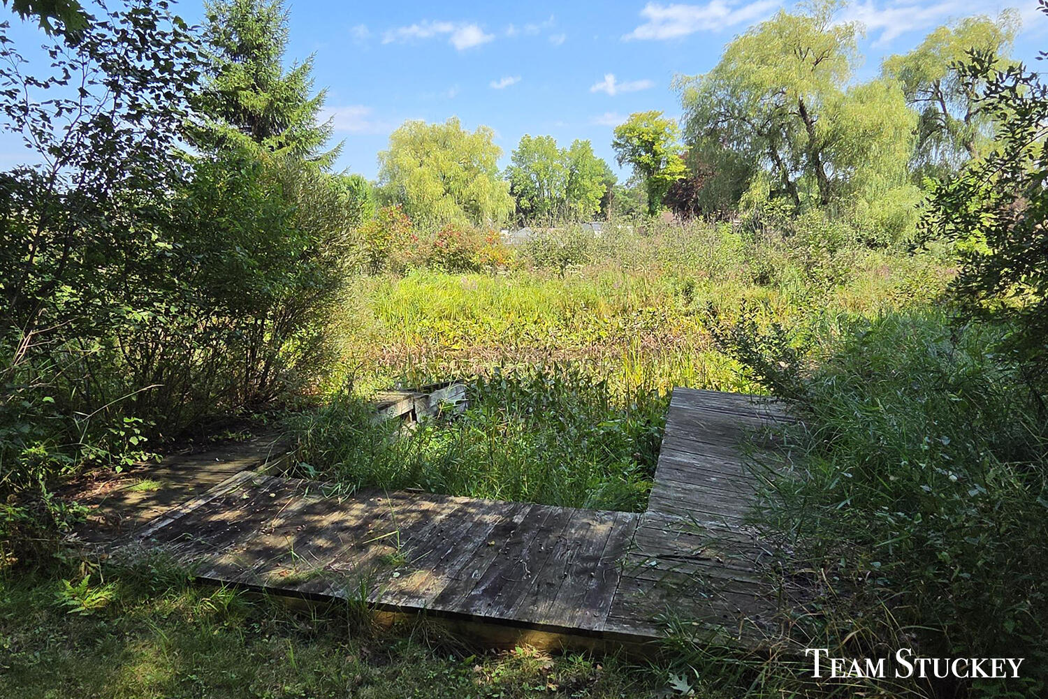 18542 9 Mile Road Property Photo 6