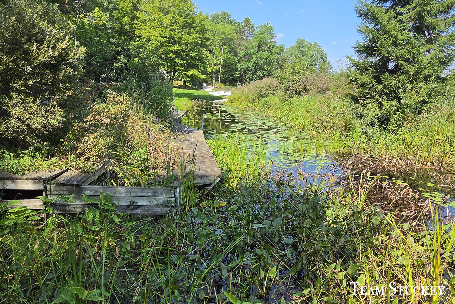 18542 9 Mile Road Property Photo 7