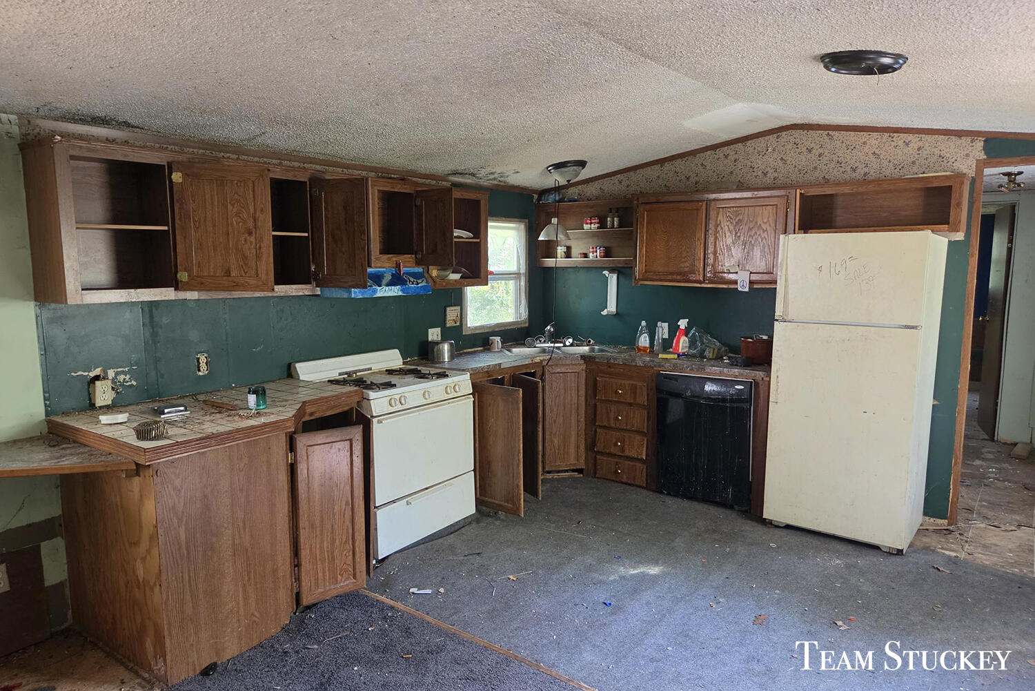 18542 9 Mile Road Property Photo 18