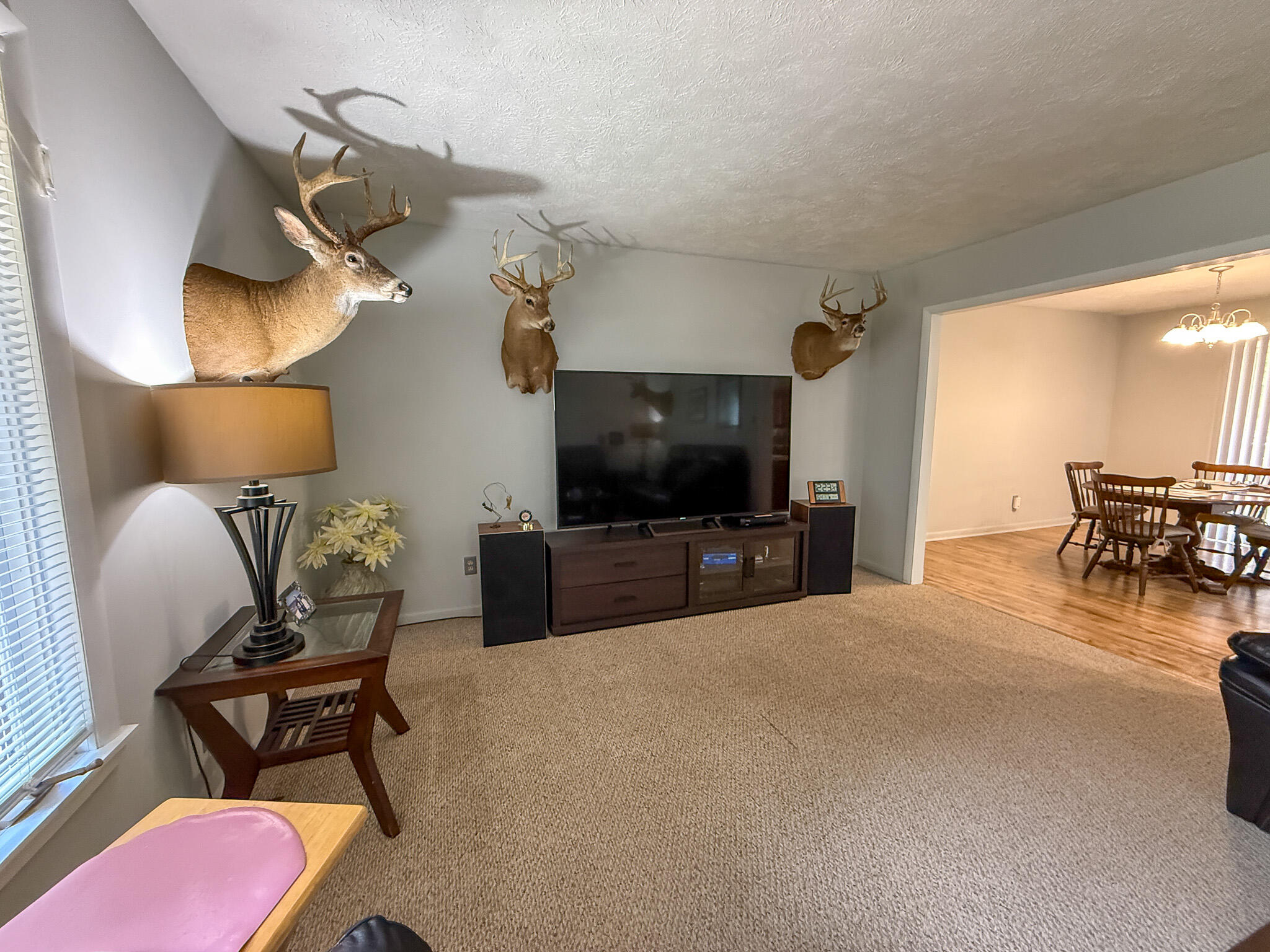 7017 Elm Avenue Property Photo 9