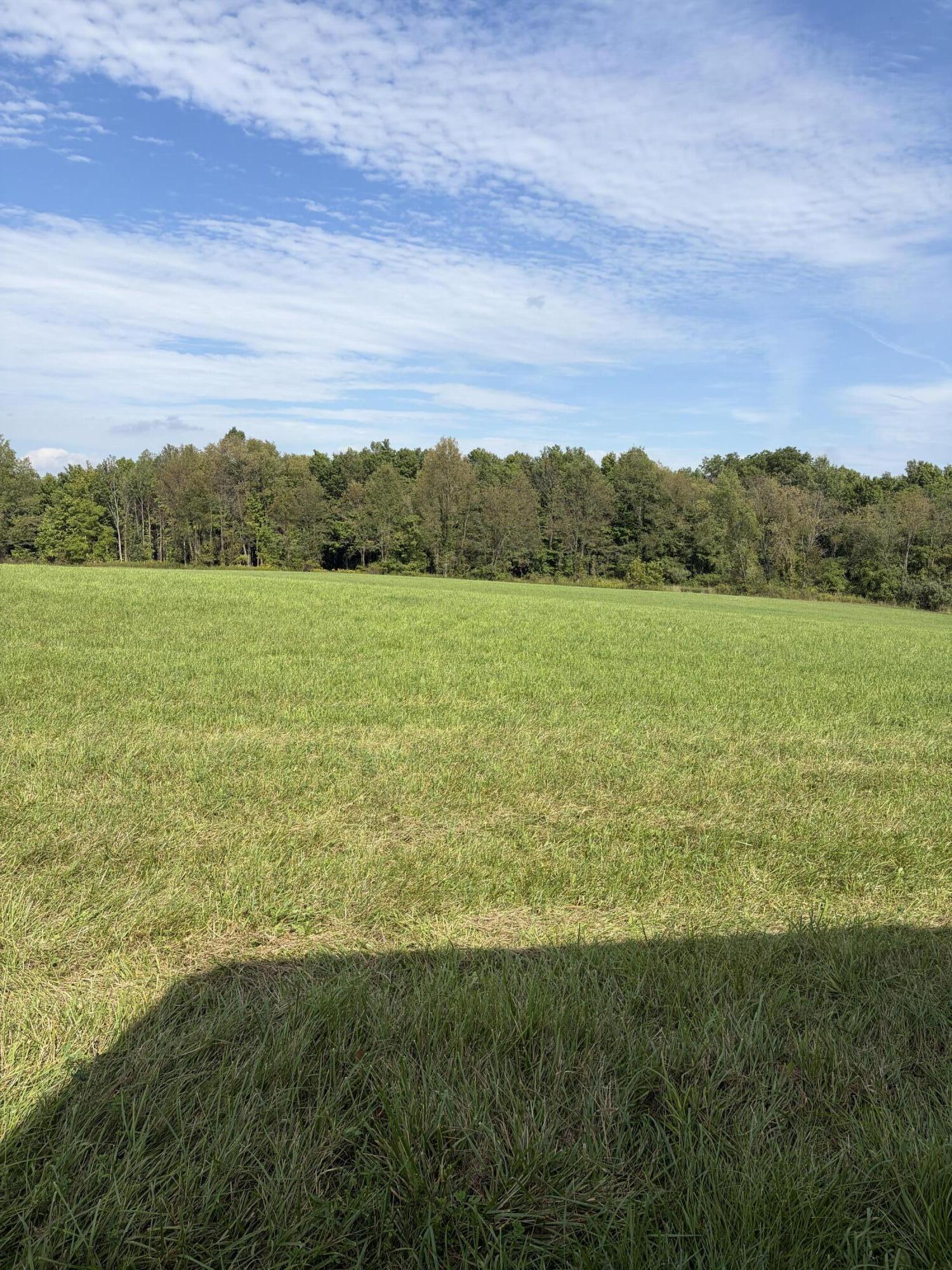 8680 8680 Bird Road Road Property Photo 5