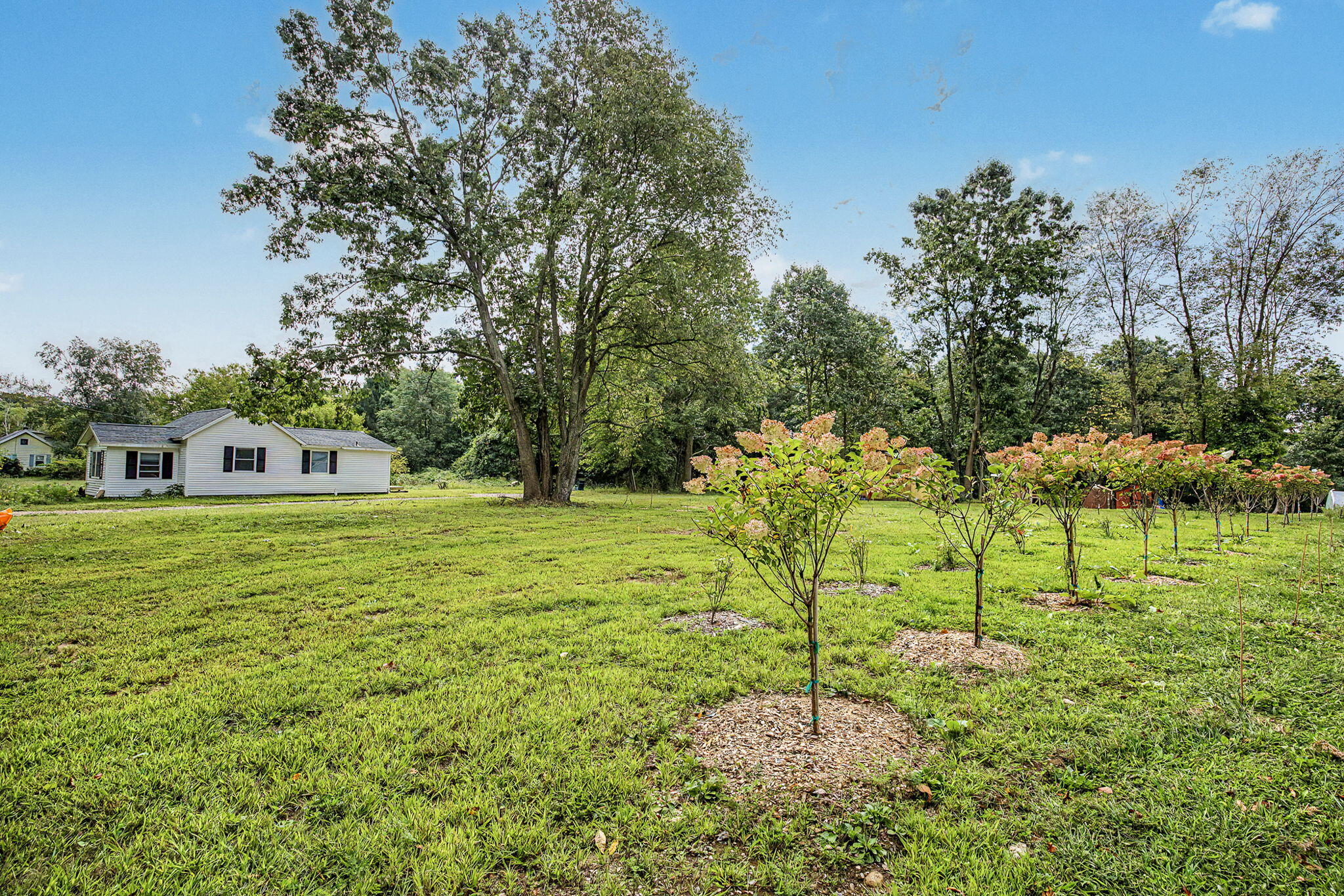 8195 Frie Avenue Property Photo 87