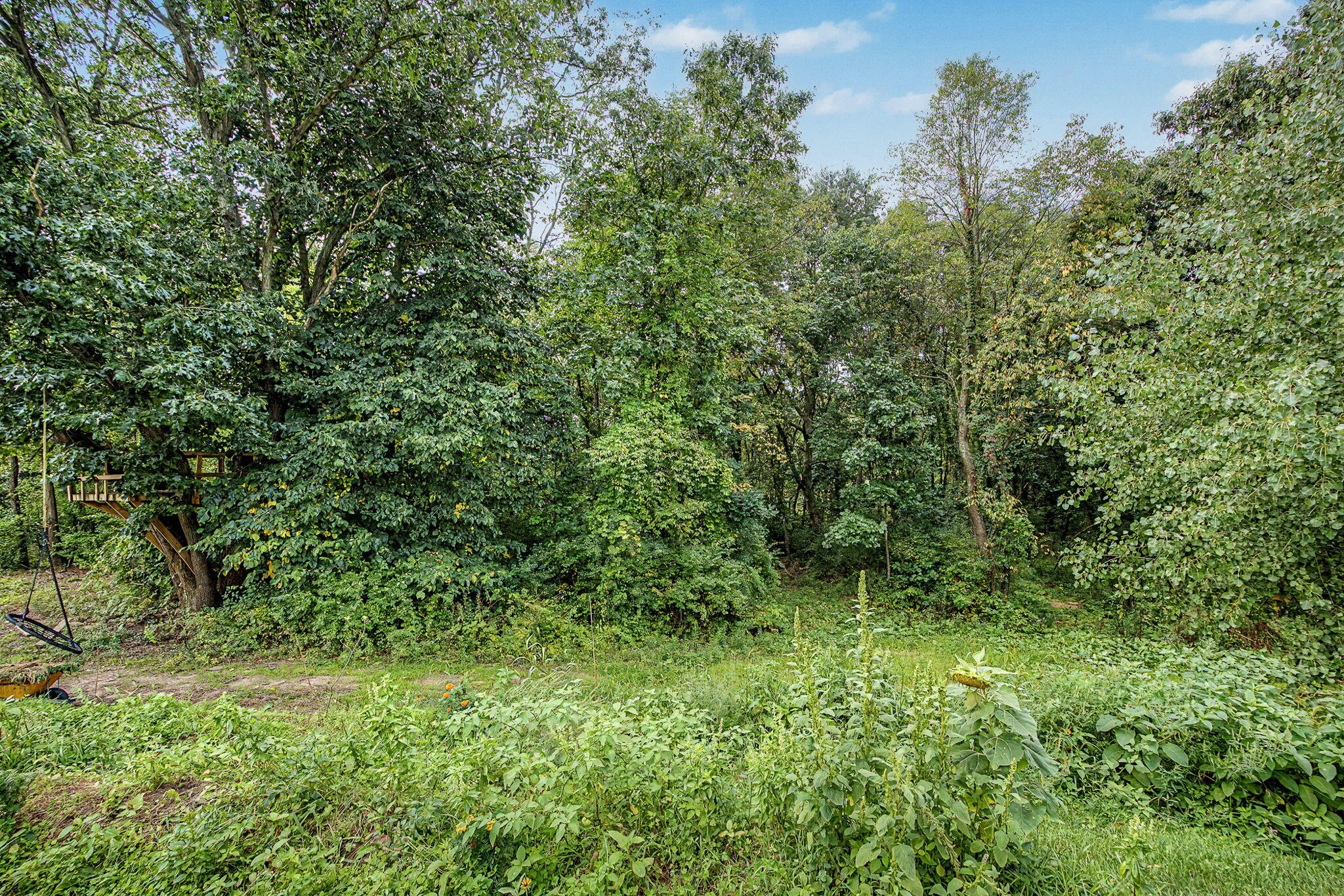8195 Frie Avenue Property Photo 89